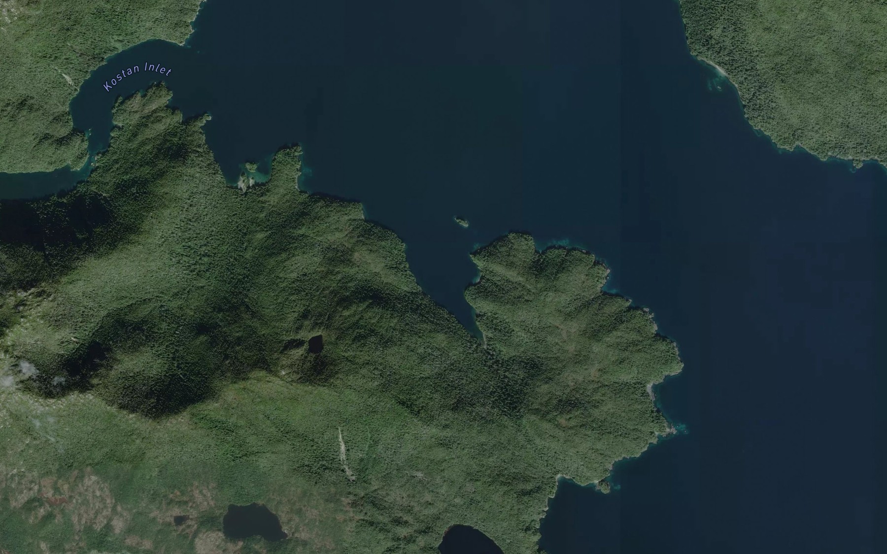 Satellite map of the Stevenson Cove