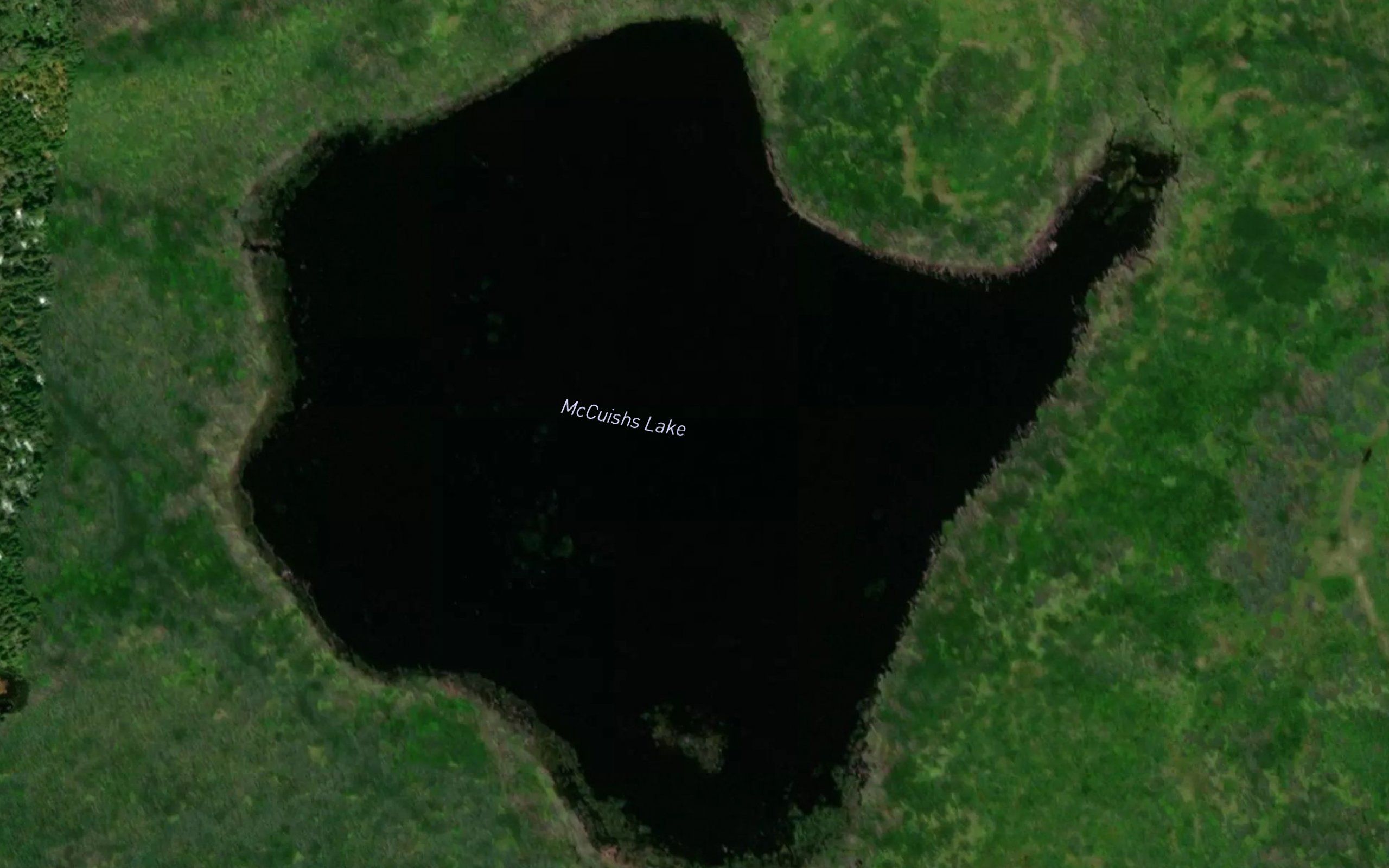 McCuishs Lake