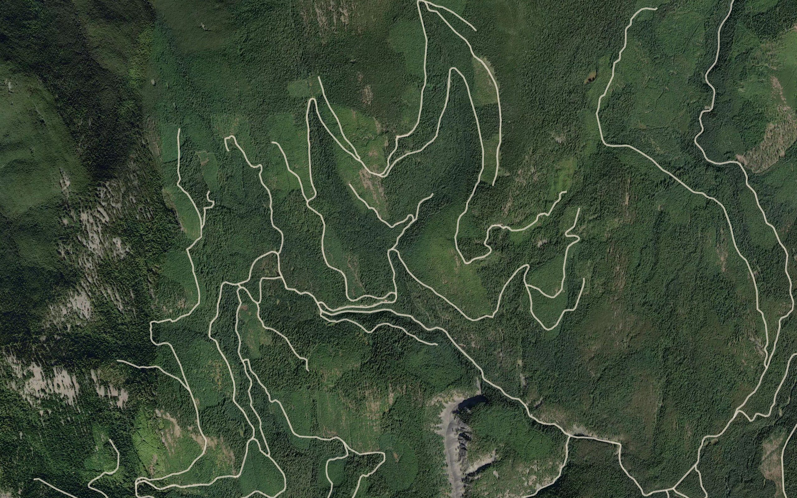 Dark Creek
