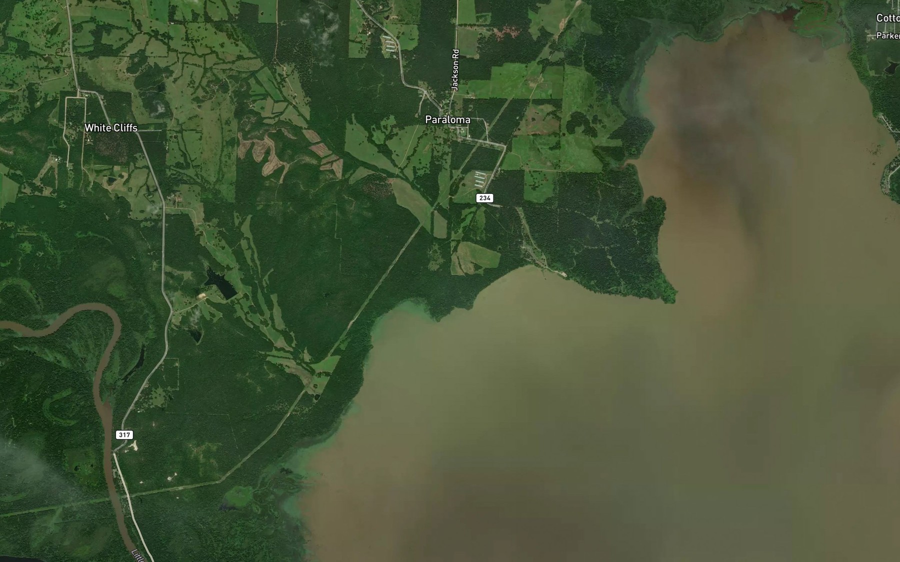 Satellite map of the Blacks Branch
