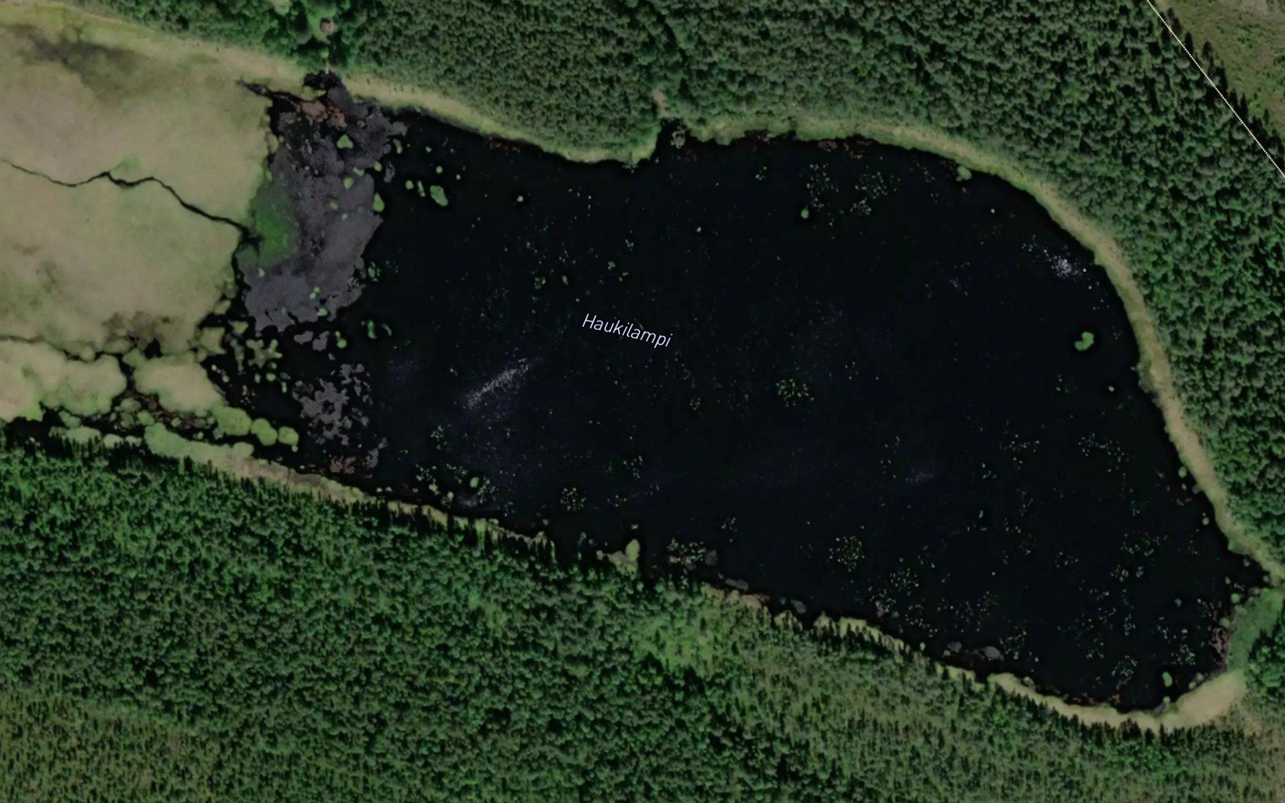 Haukilampi