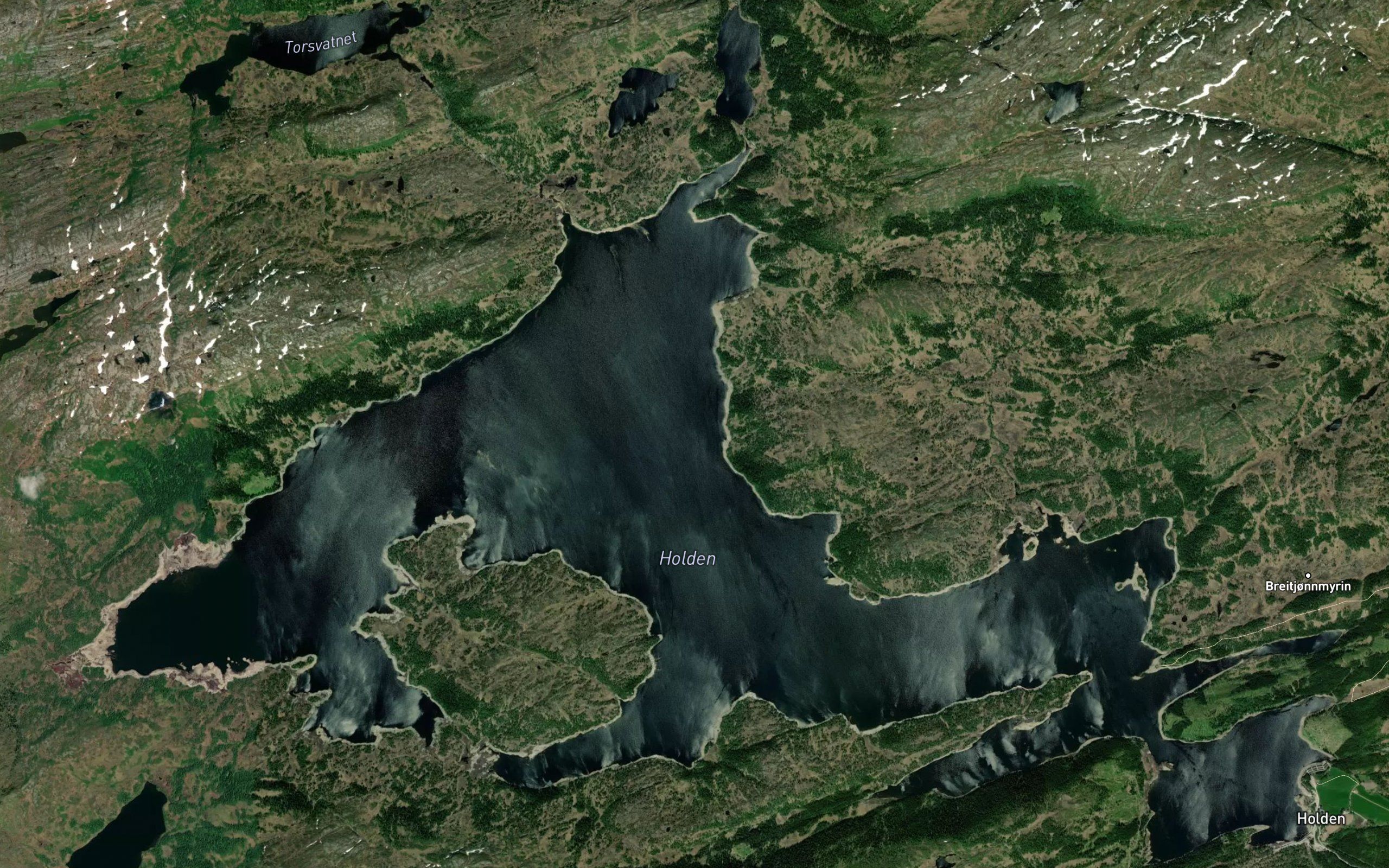 Holden