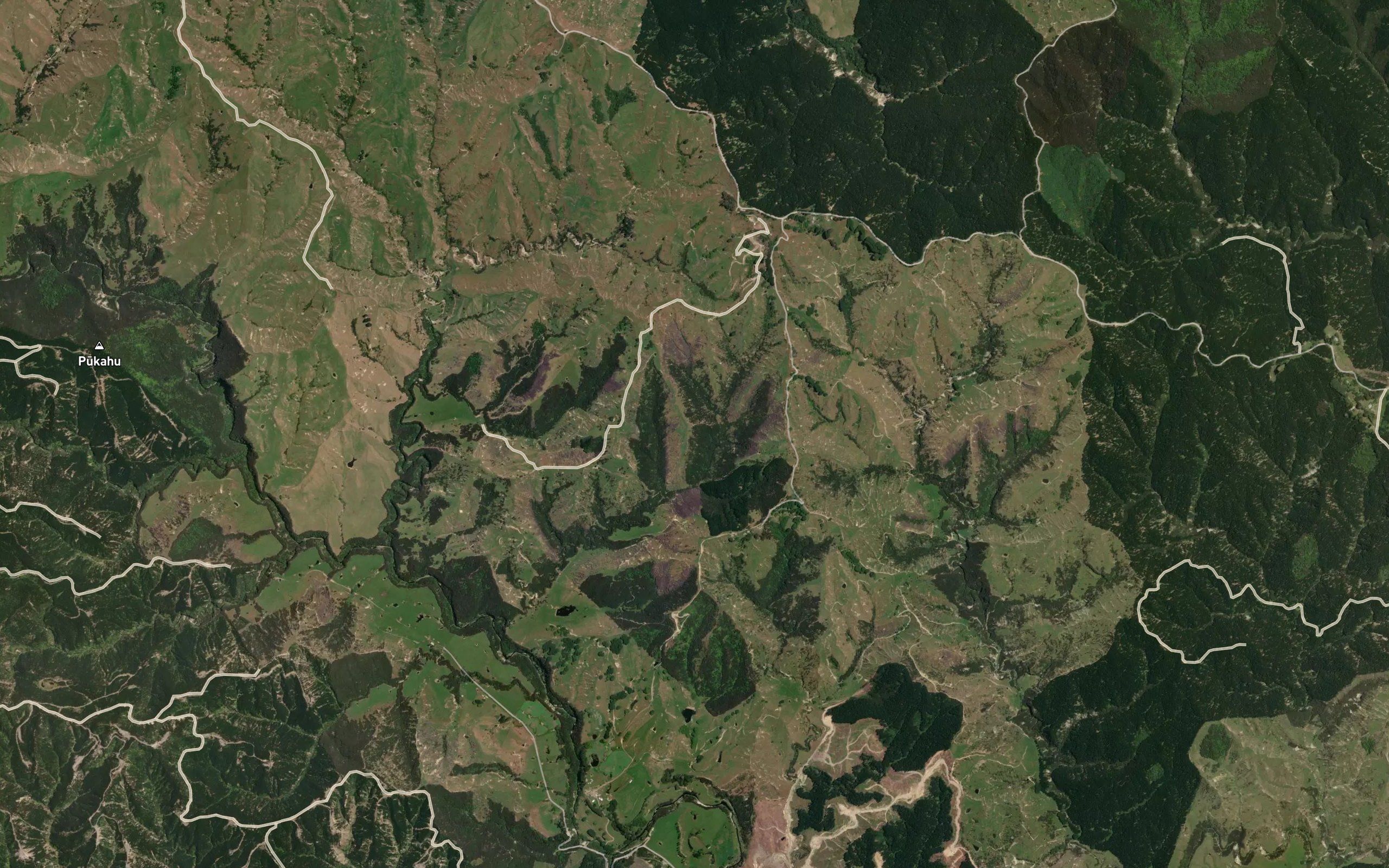 Waihi Stream