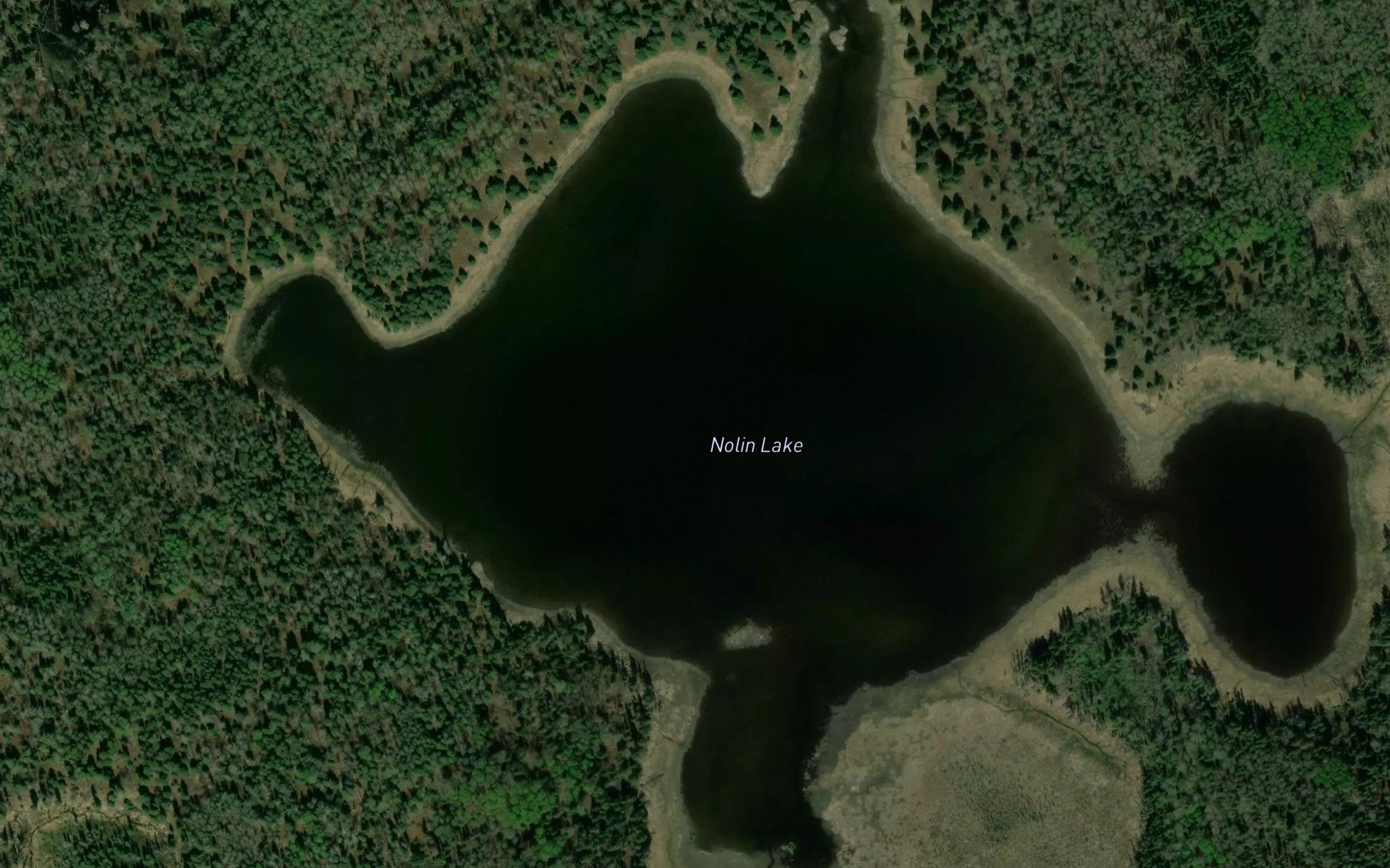 Satellite map of the Nolin Lake