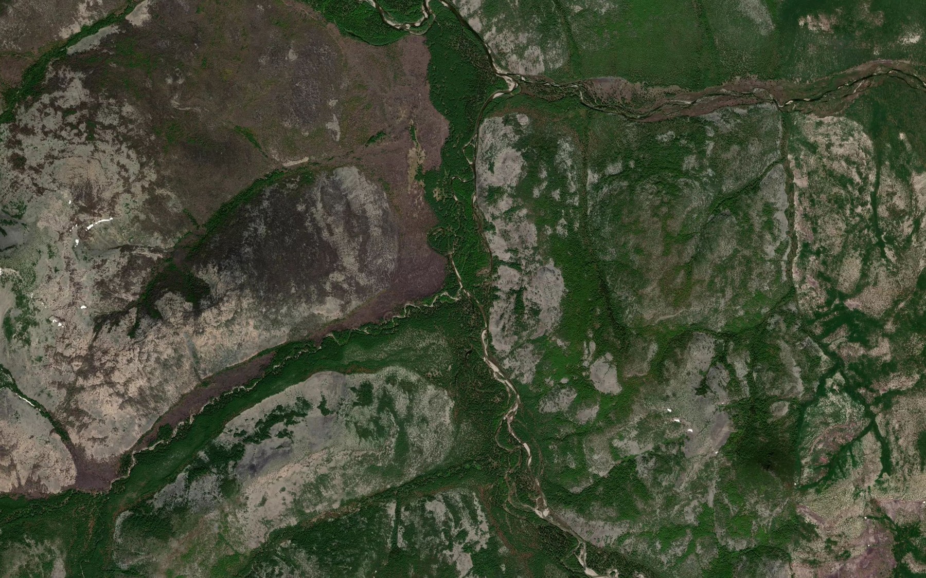 Satellite map of the Zvezdnyy