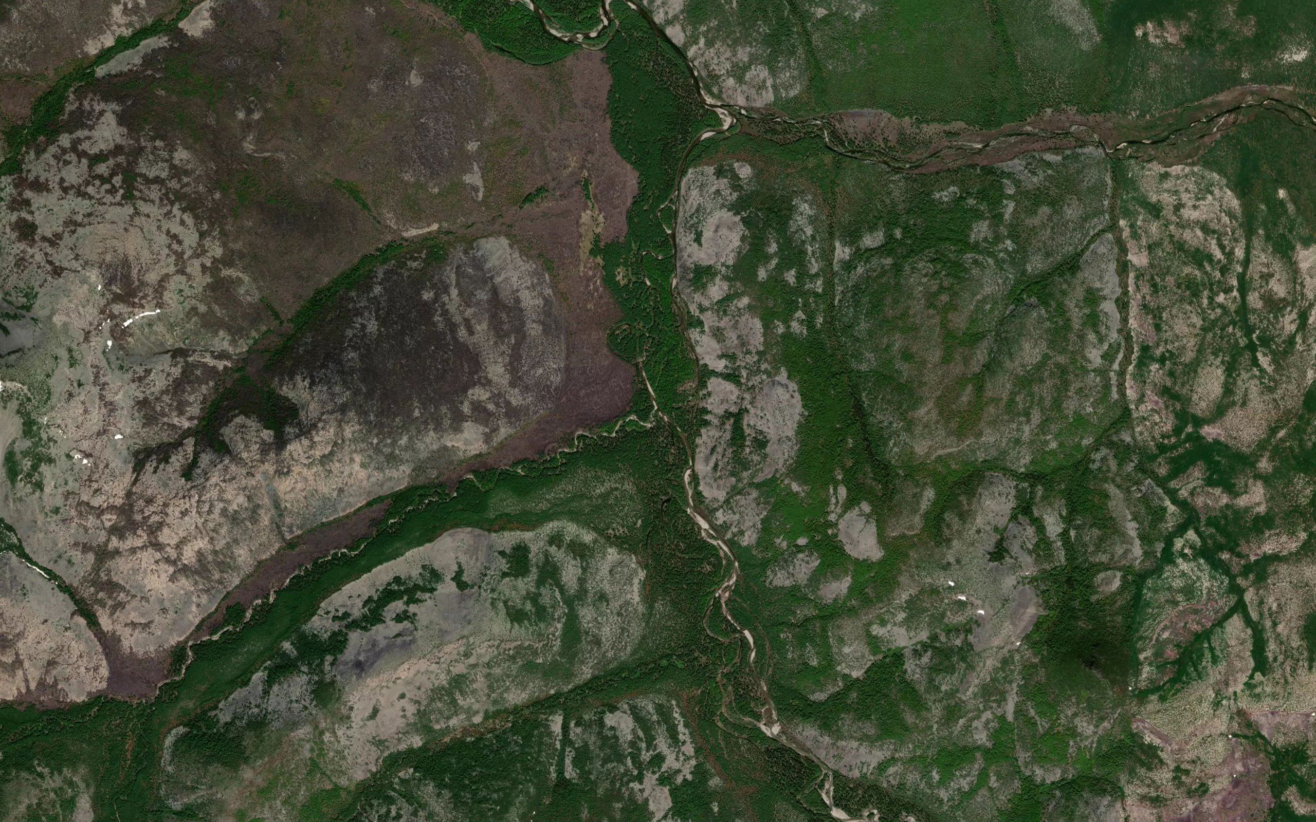 Zvezdnyy
