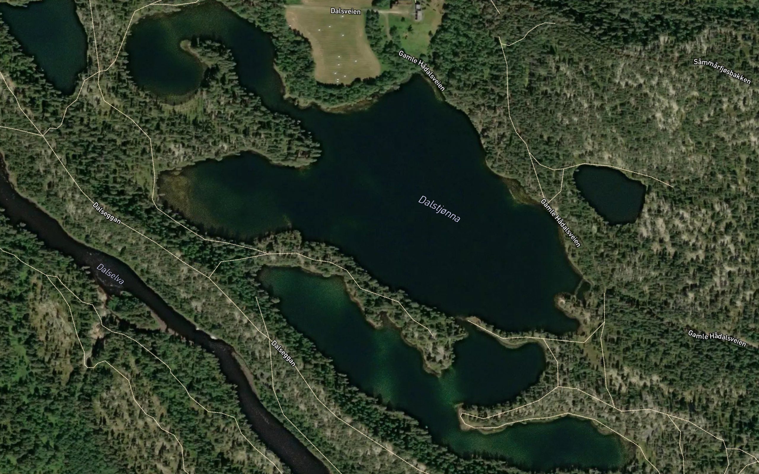 Dalstjorna