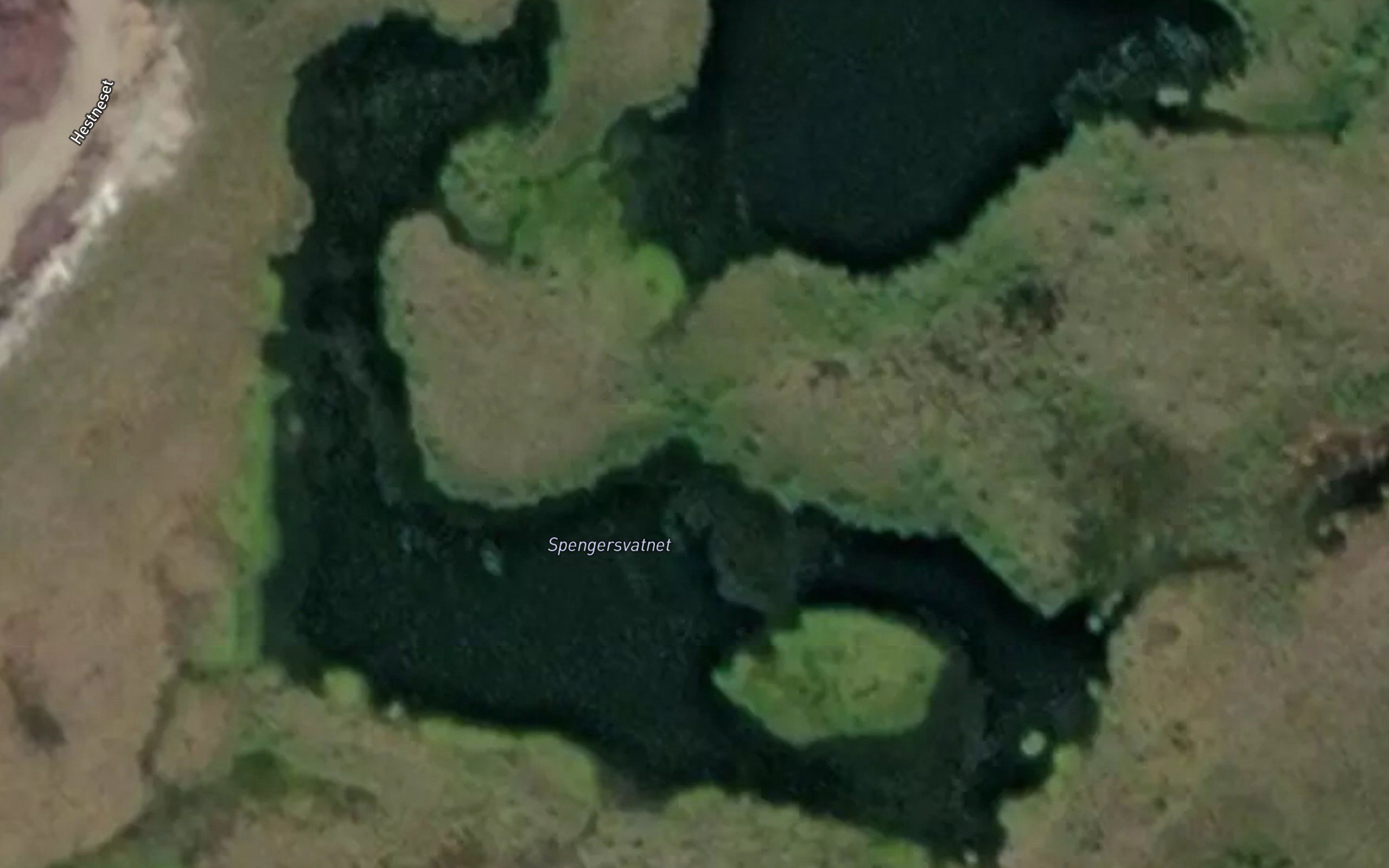 Spengervatnan