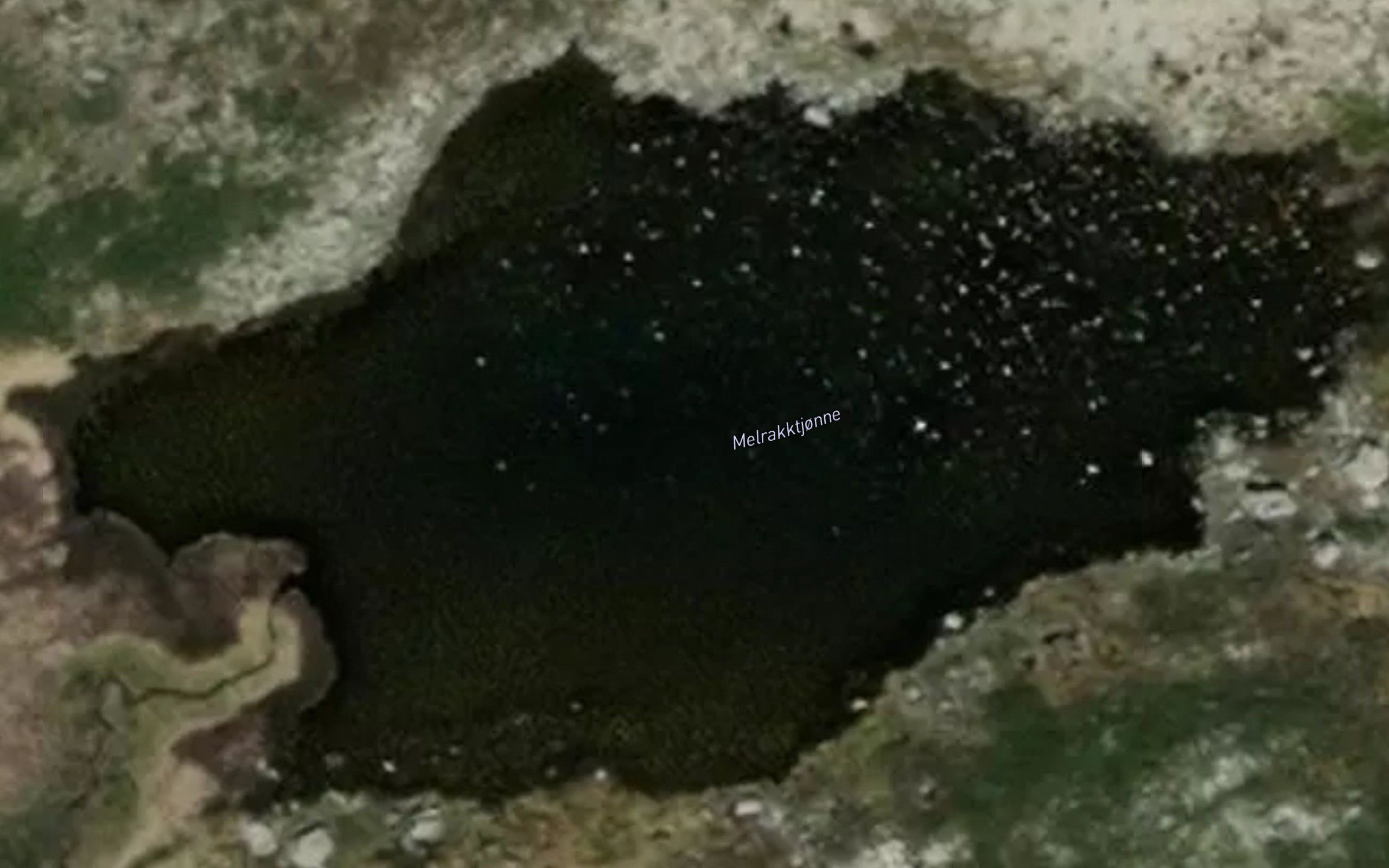 Melrakktjonne