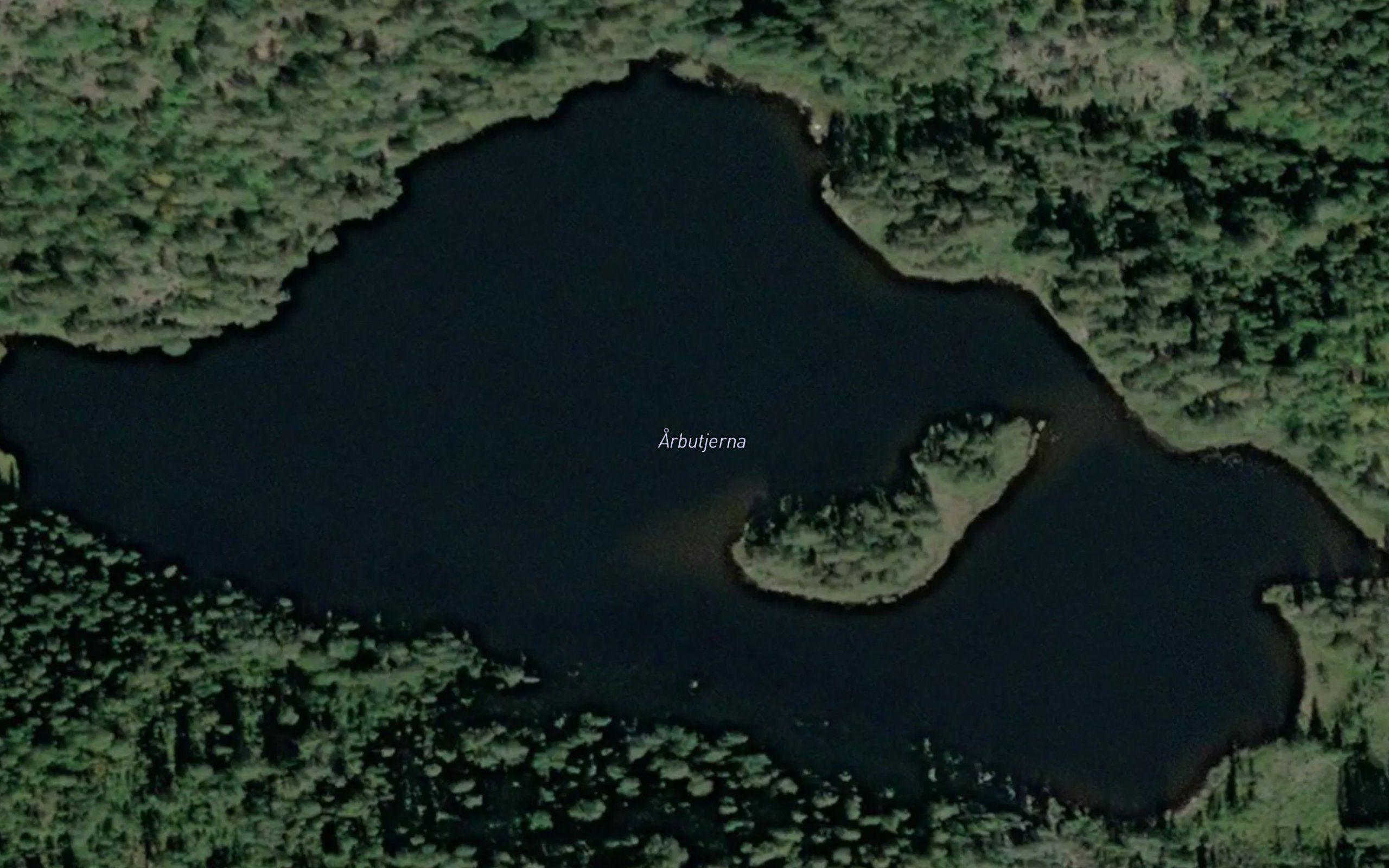 Arbutjerna