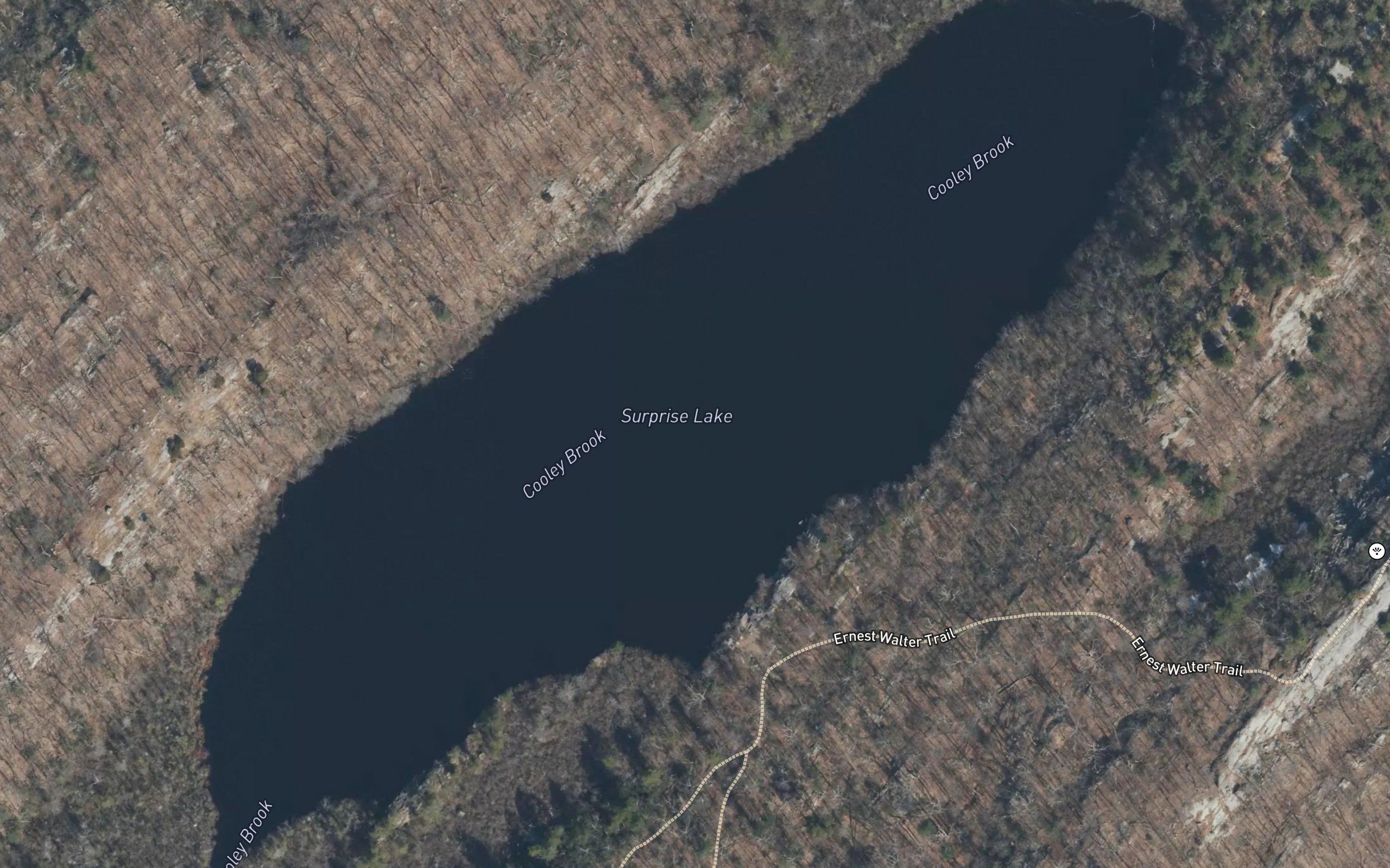 Surprise Lake