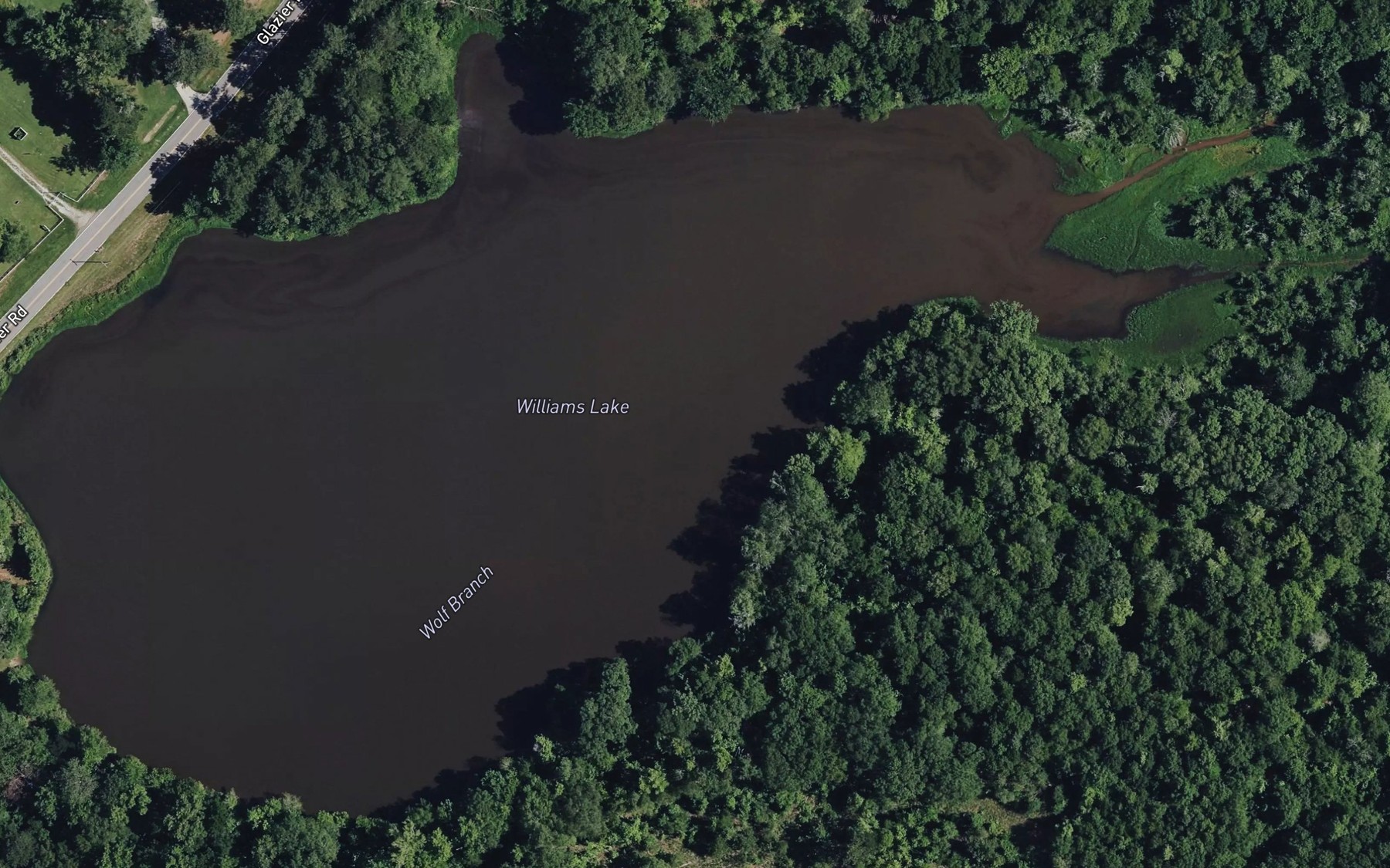 Satellite map of the Williams Lake