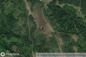 Gorrtjennet