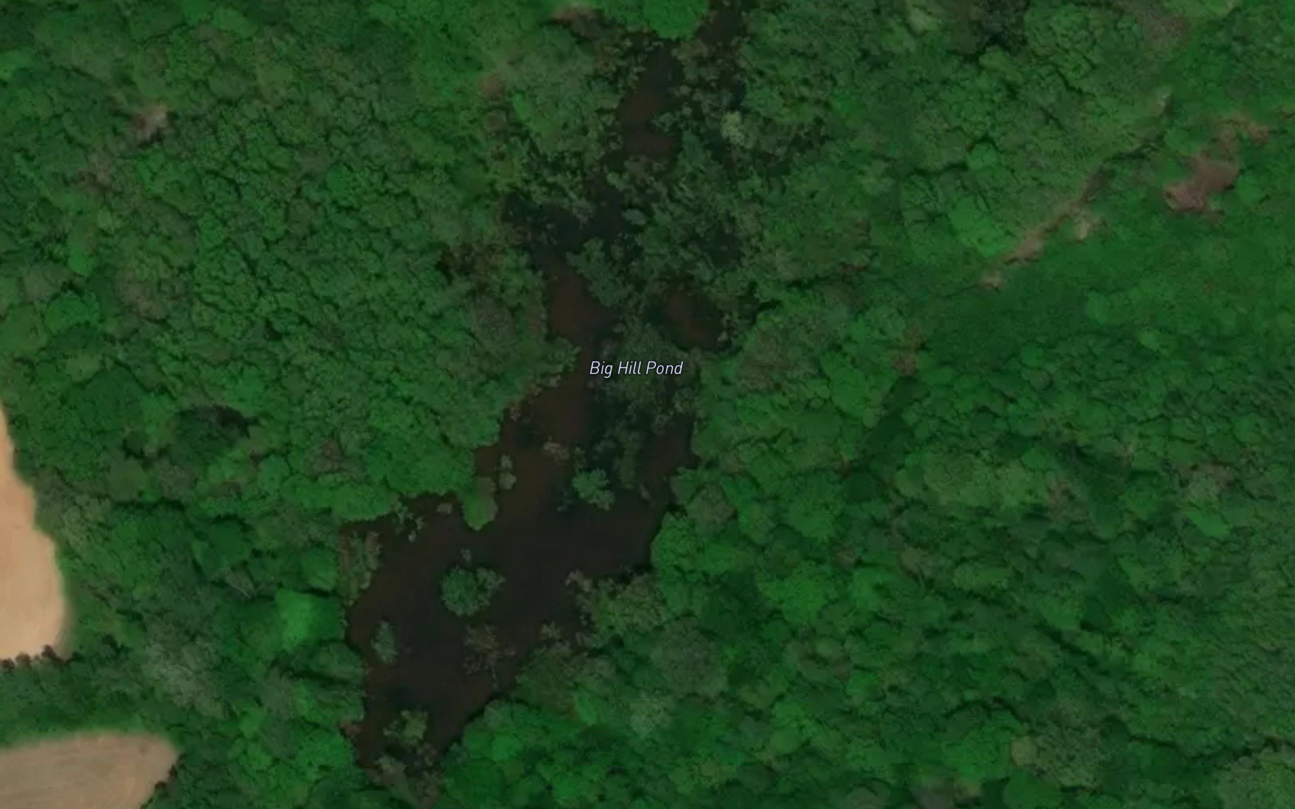 Big Hill Pond