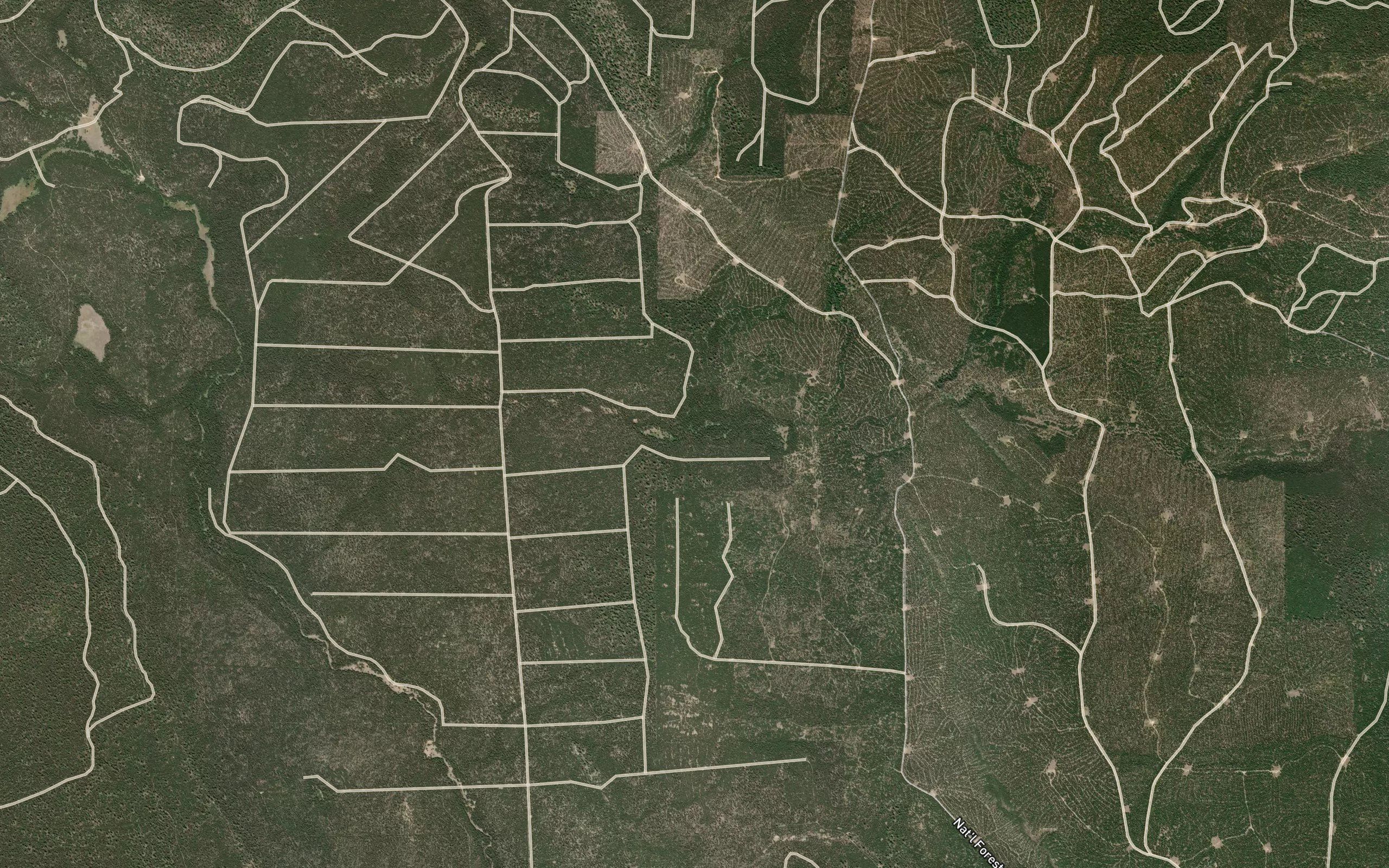 Section 9 Spring