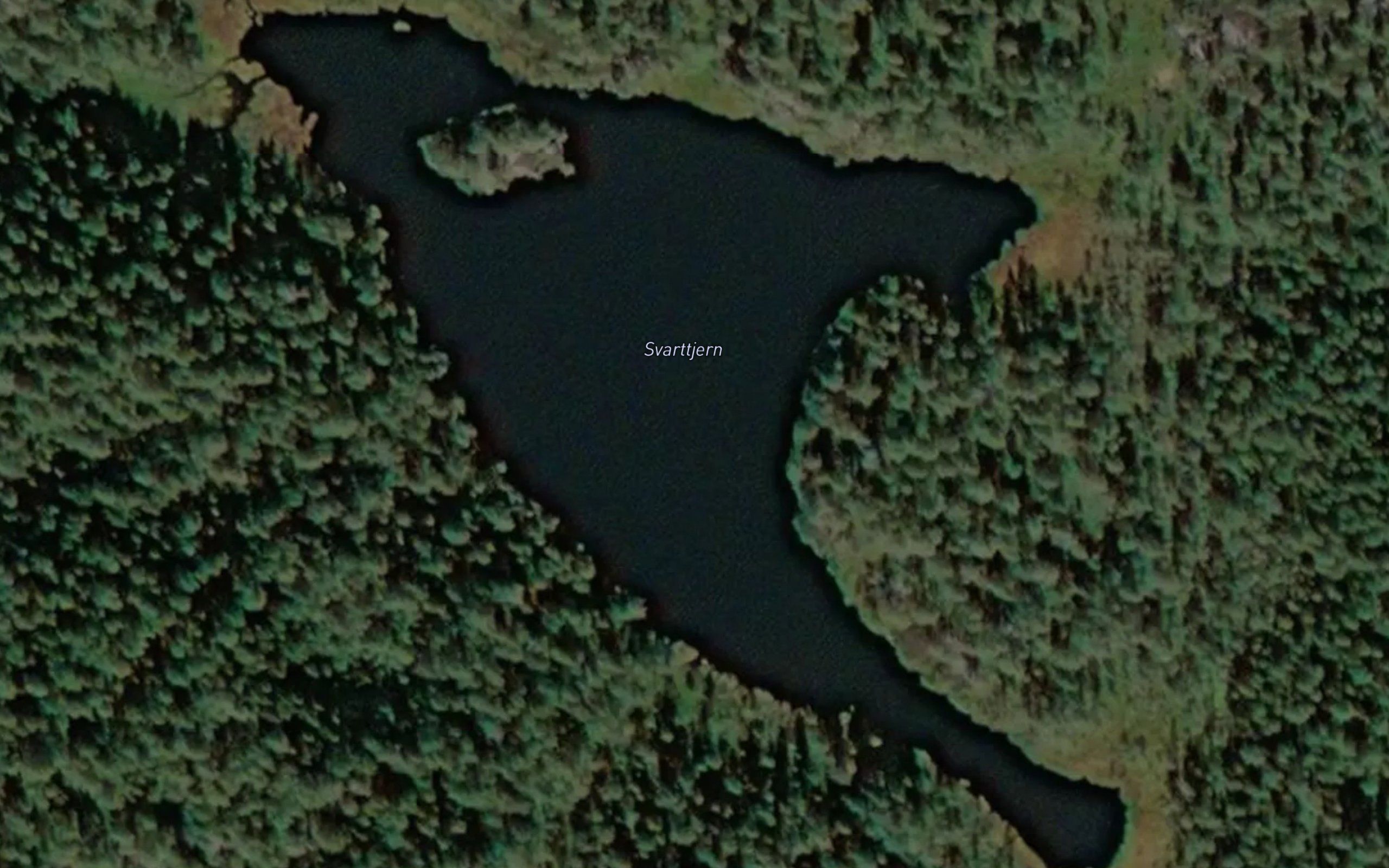 Svarttjern