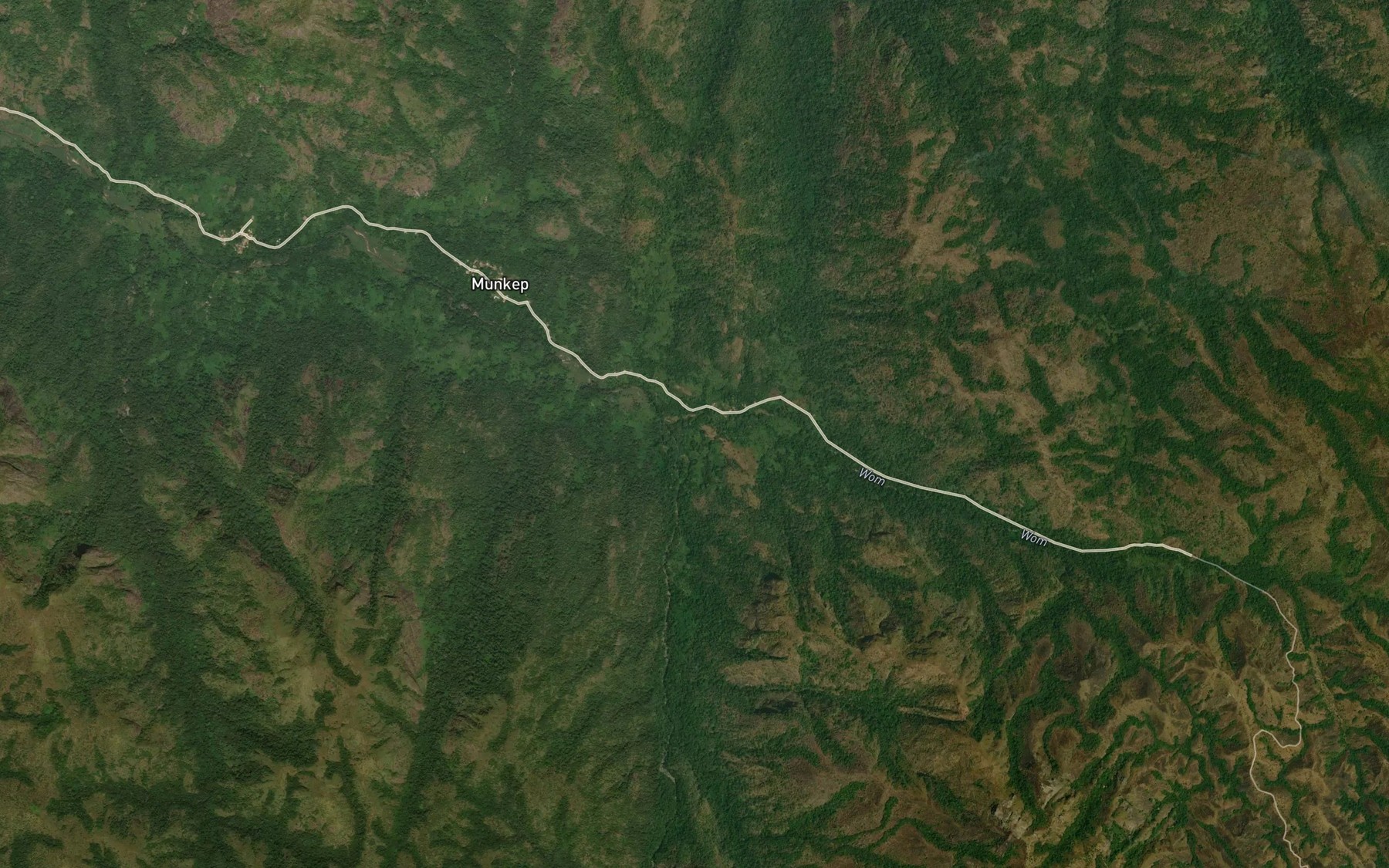 Satellite map of the Yaboa