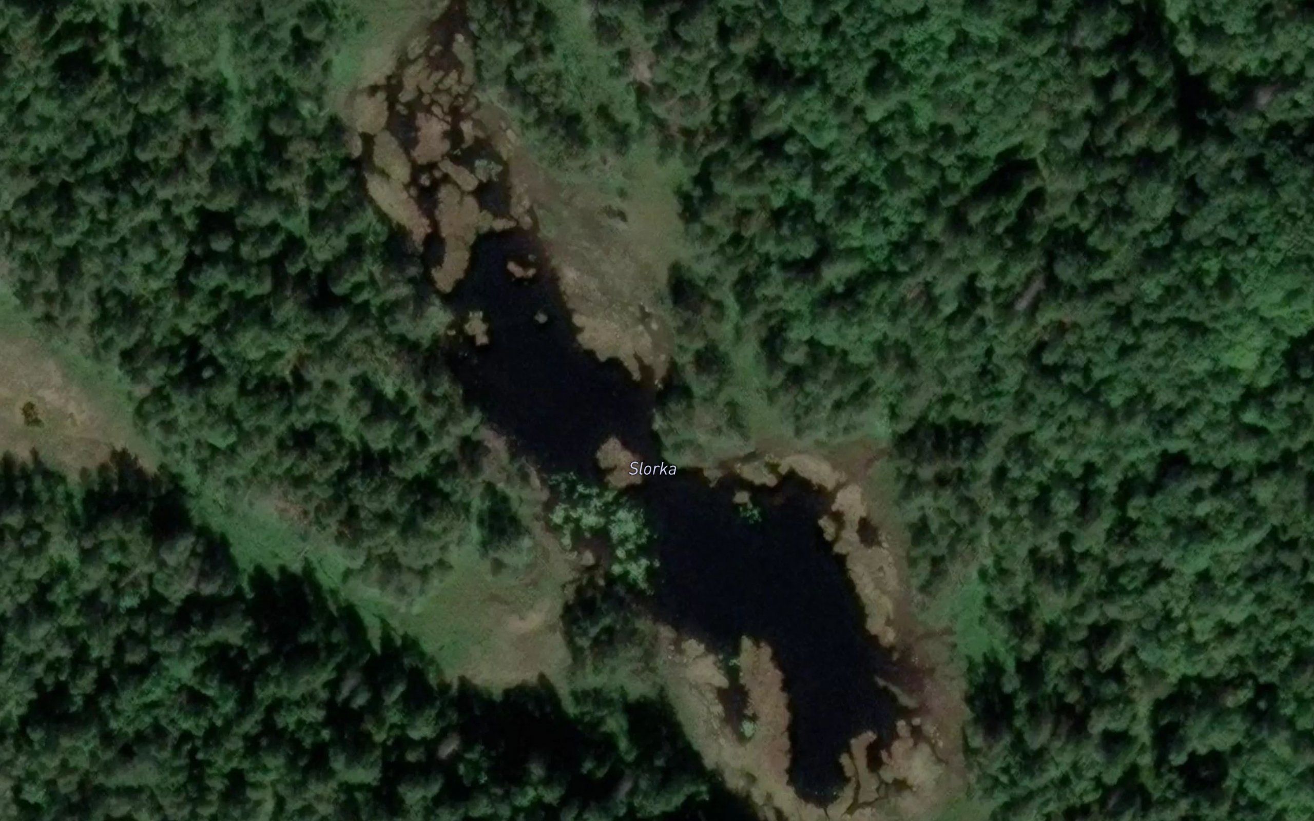 Slorka