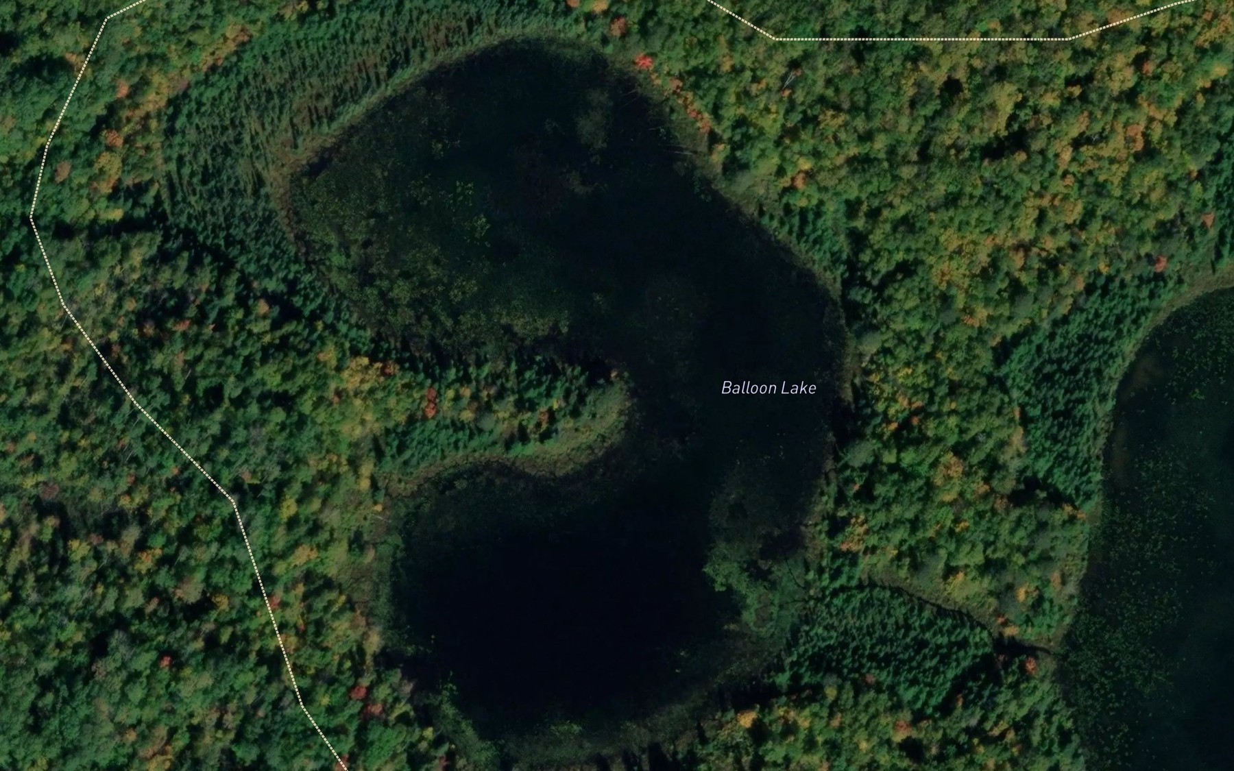 Satellite map of the Balloon Lake
