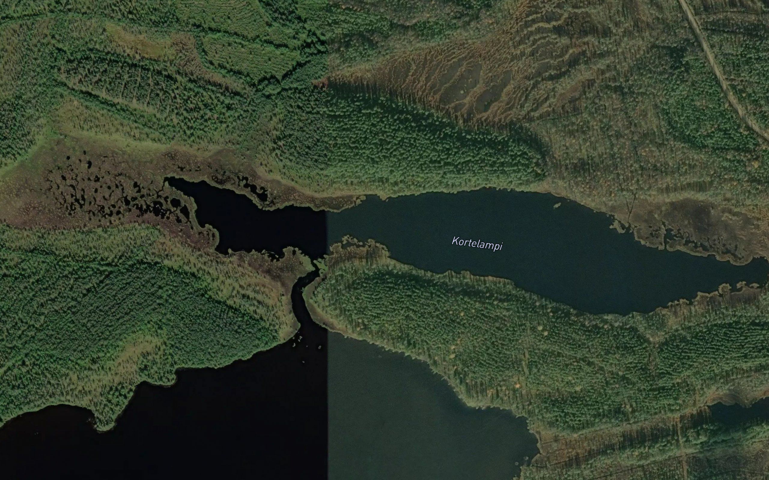 Kortelampi
