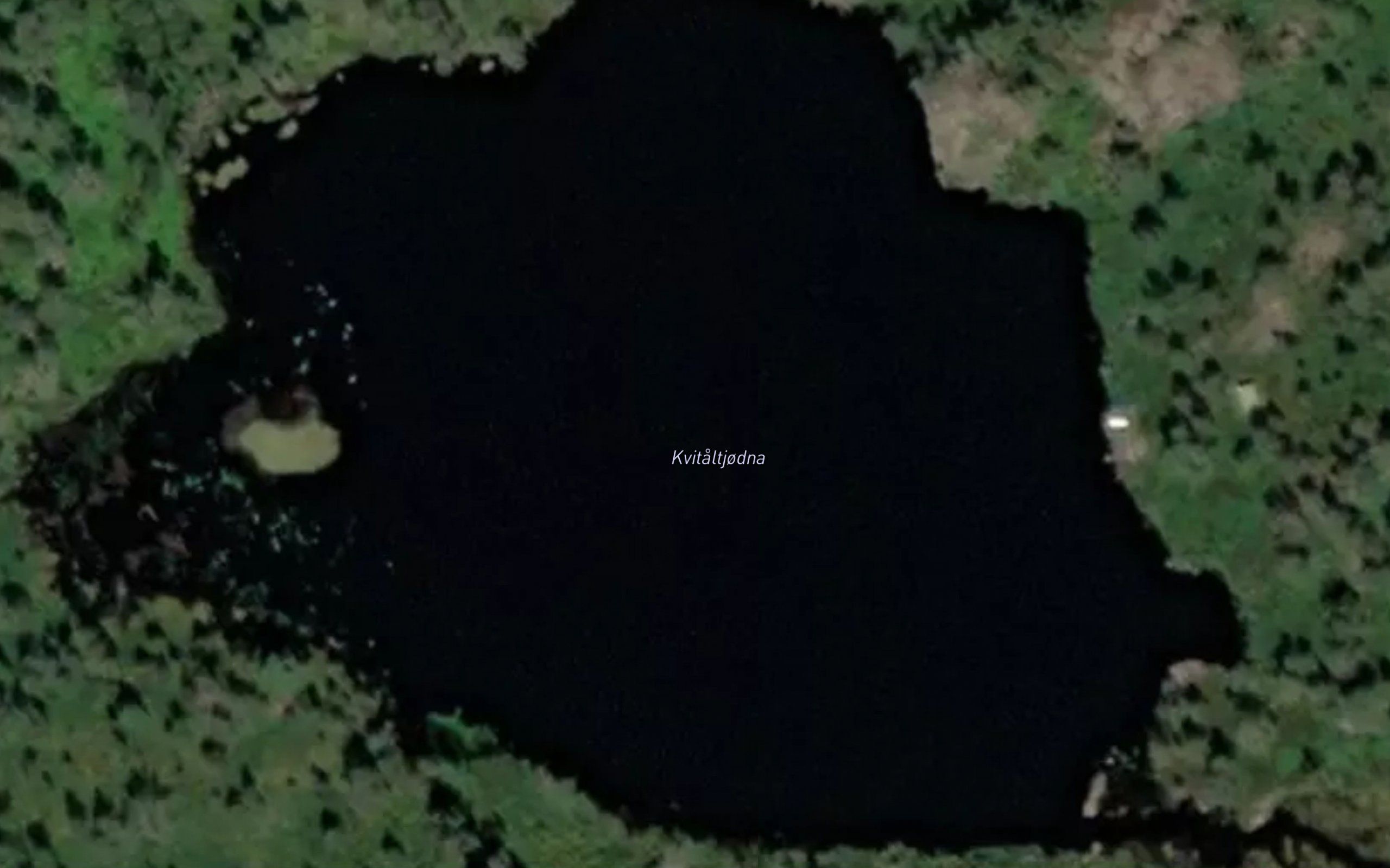 Kvitaltjodna
