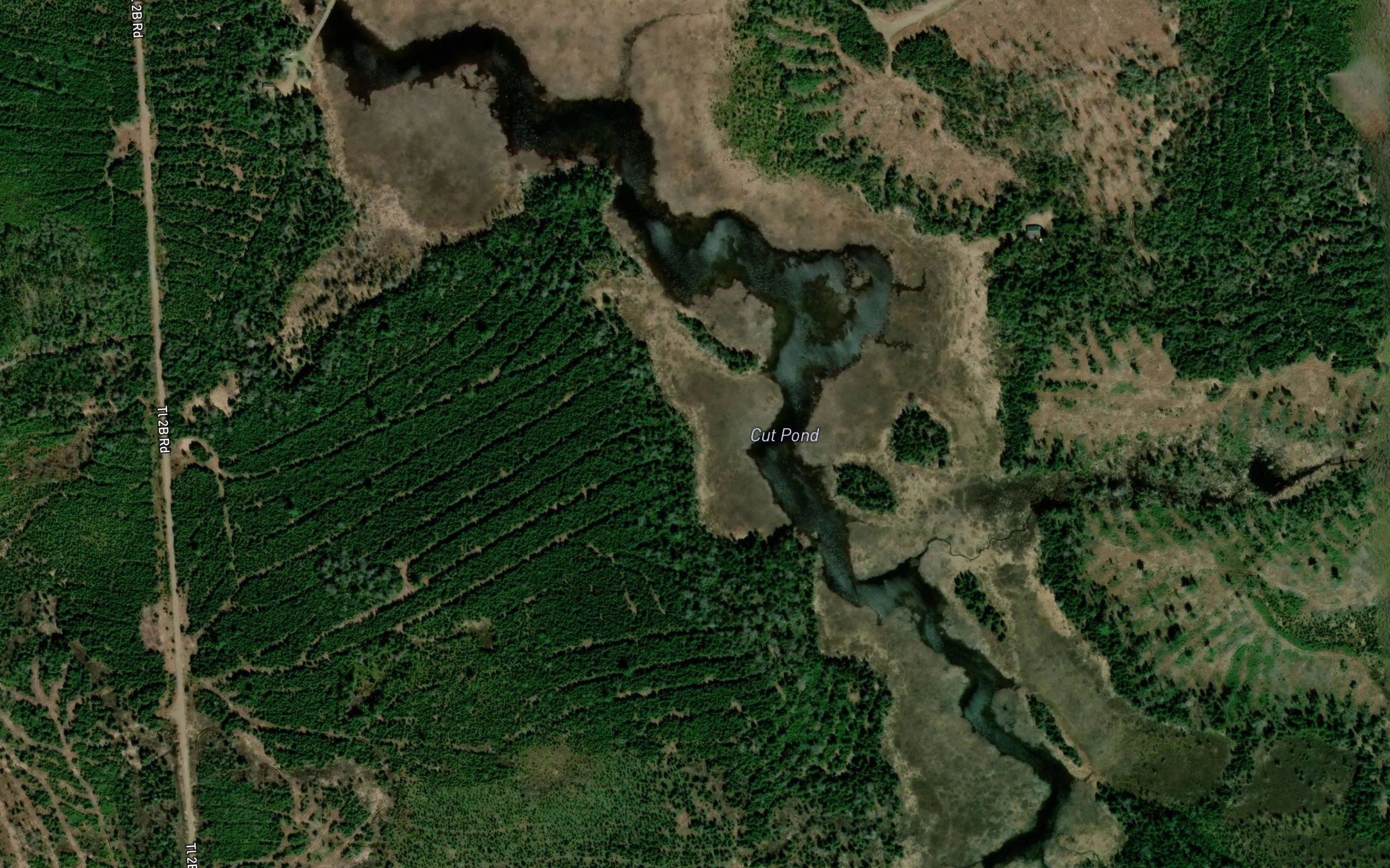 Cut Pond