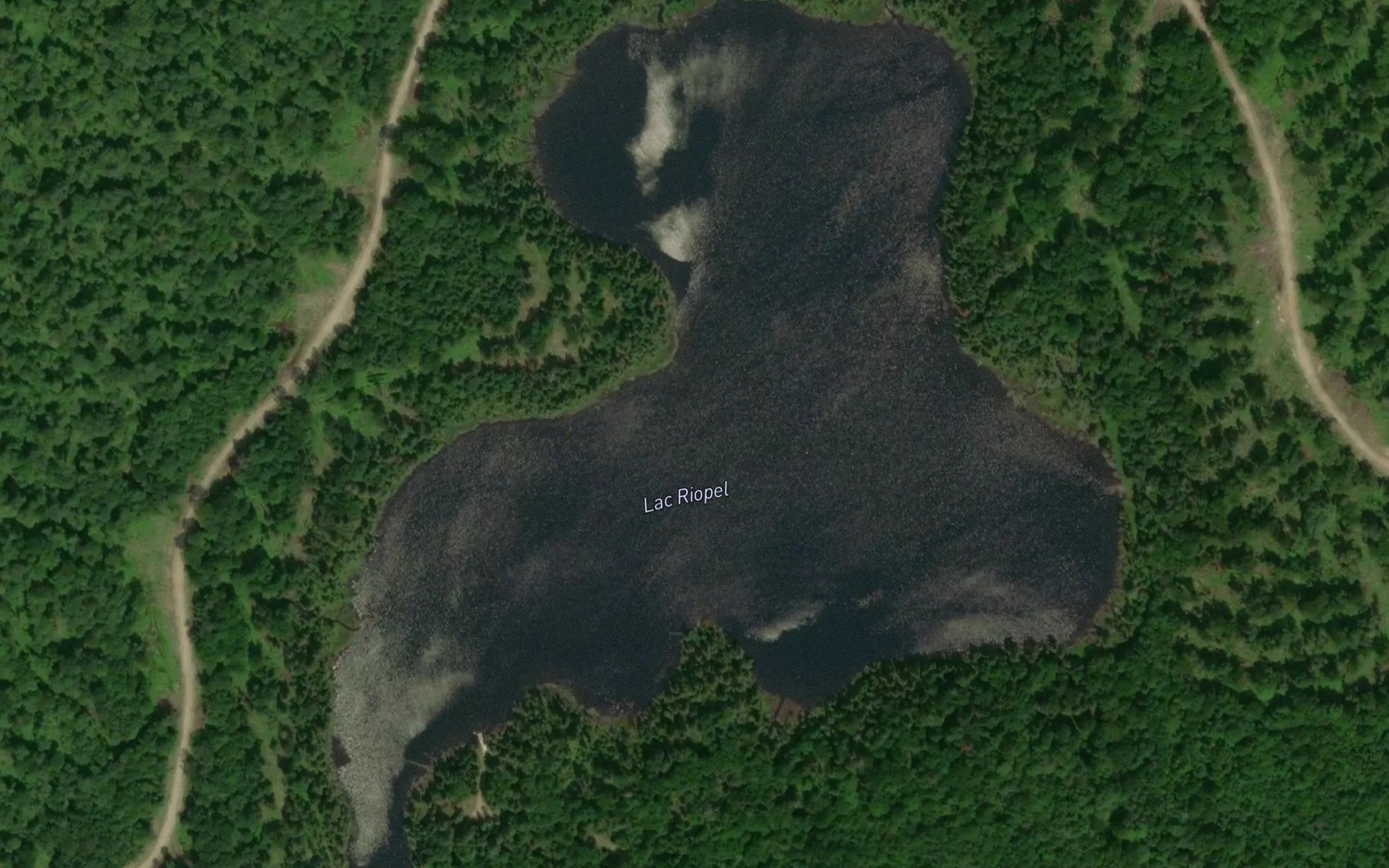 Satellite map of the Lac Riopel