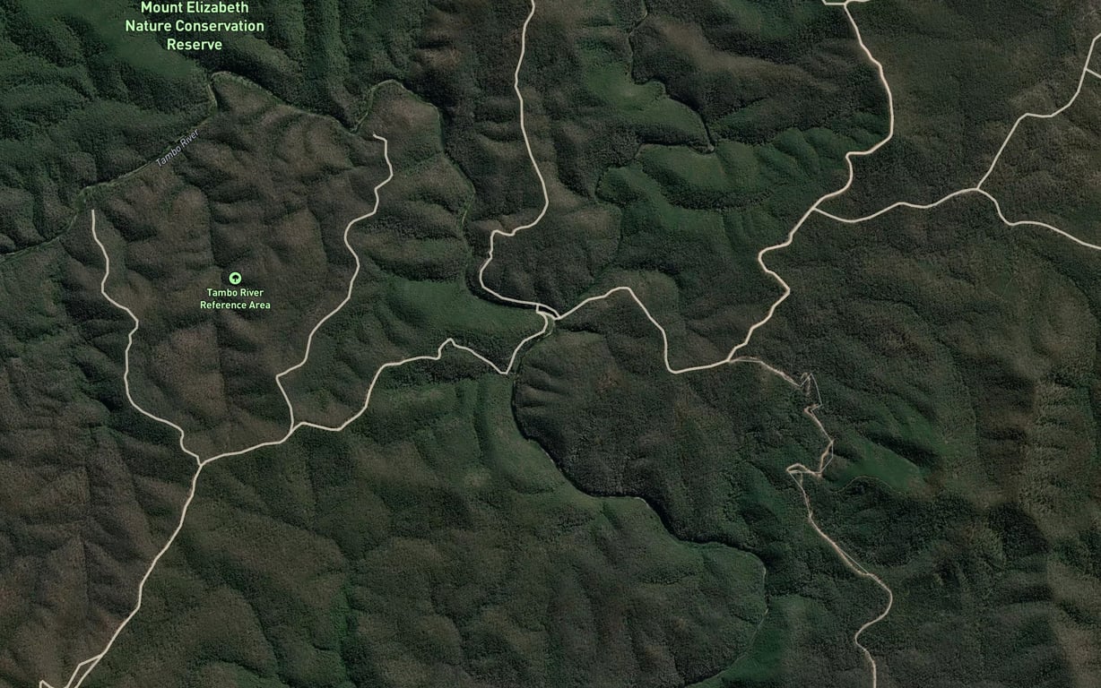 Timbarra River Fishing in Victoria 2026 — Live Reports, Forecast & AI ...