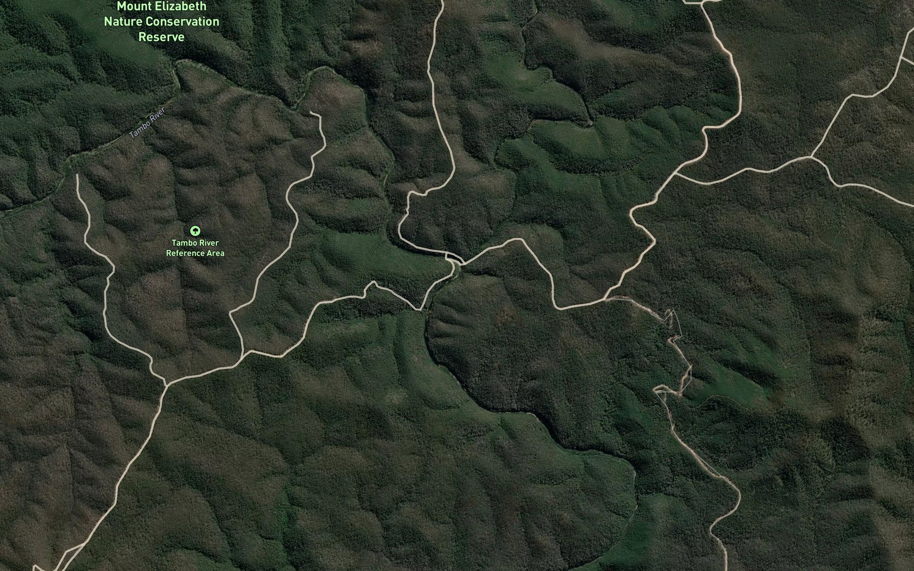 Timbarra River Fishing in Victoria 2026 — Live Reports, Forecast & AI ...