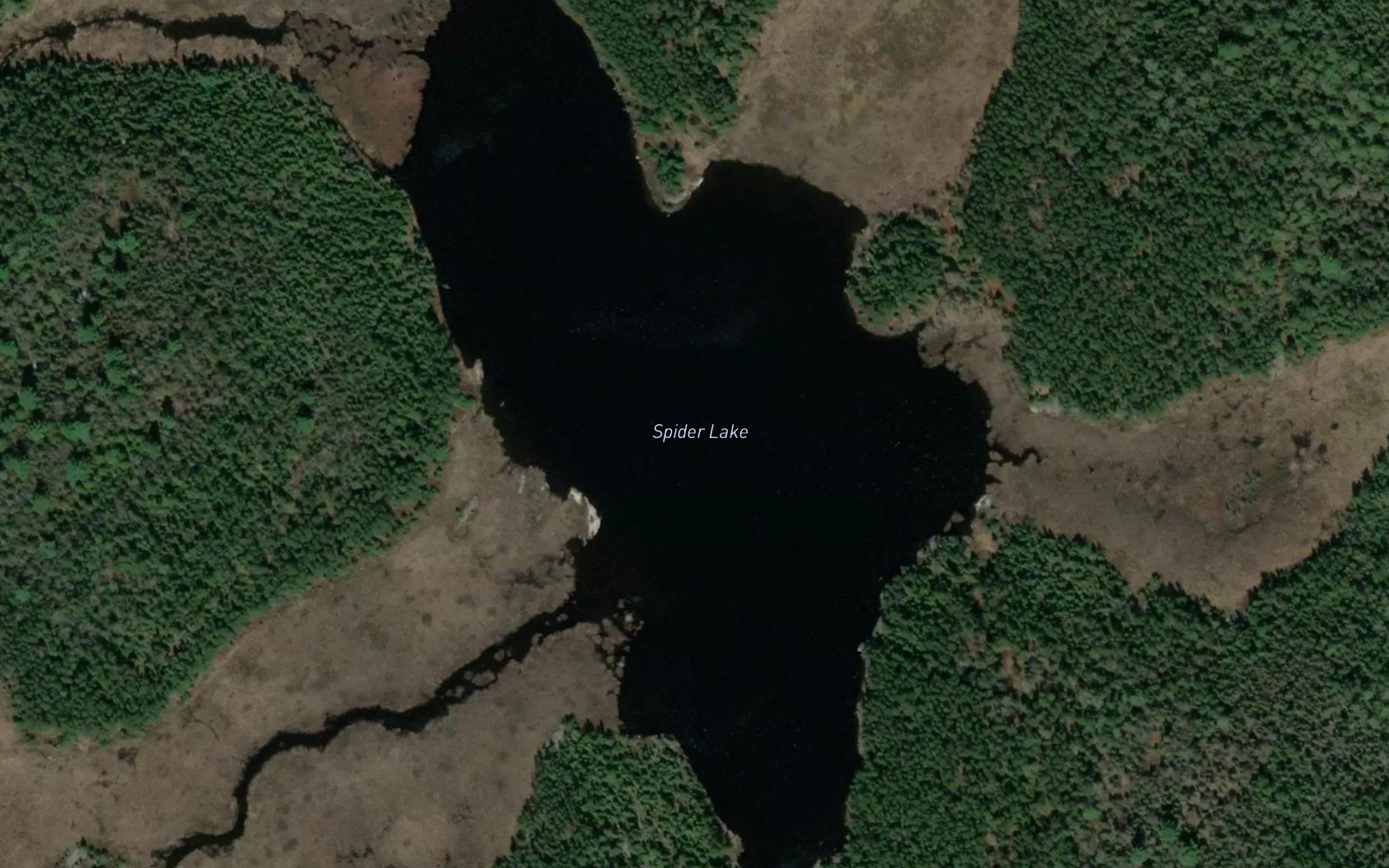 Spider Lake