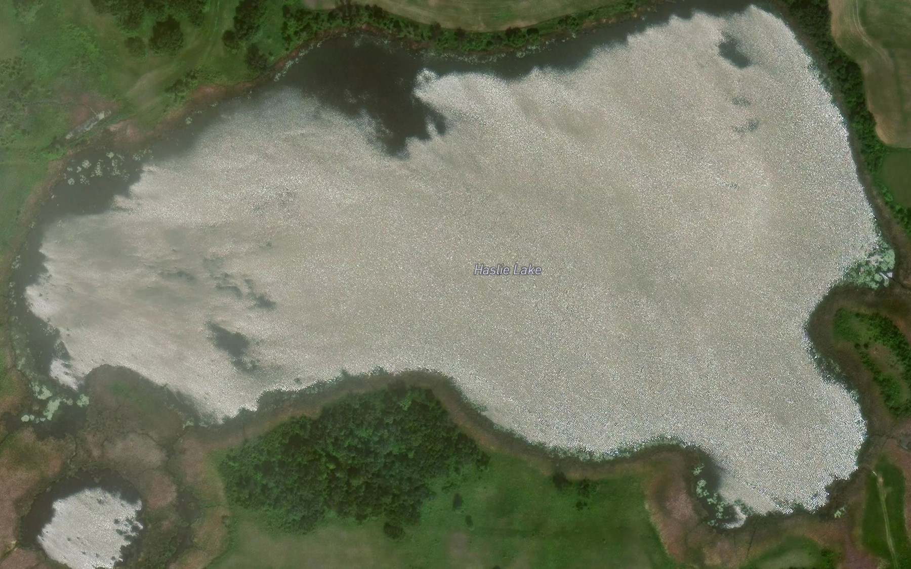 Satellite map of the Haslie Lake