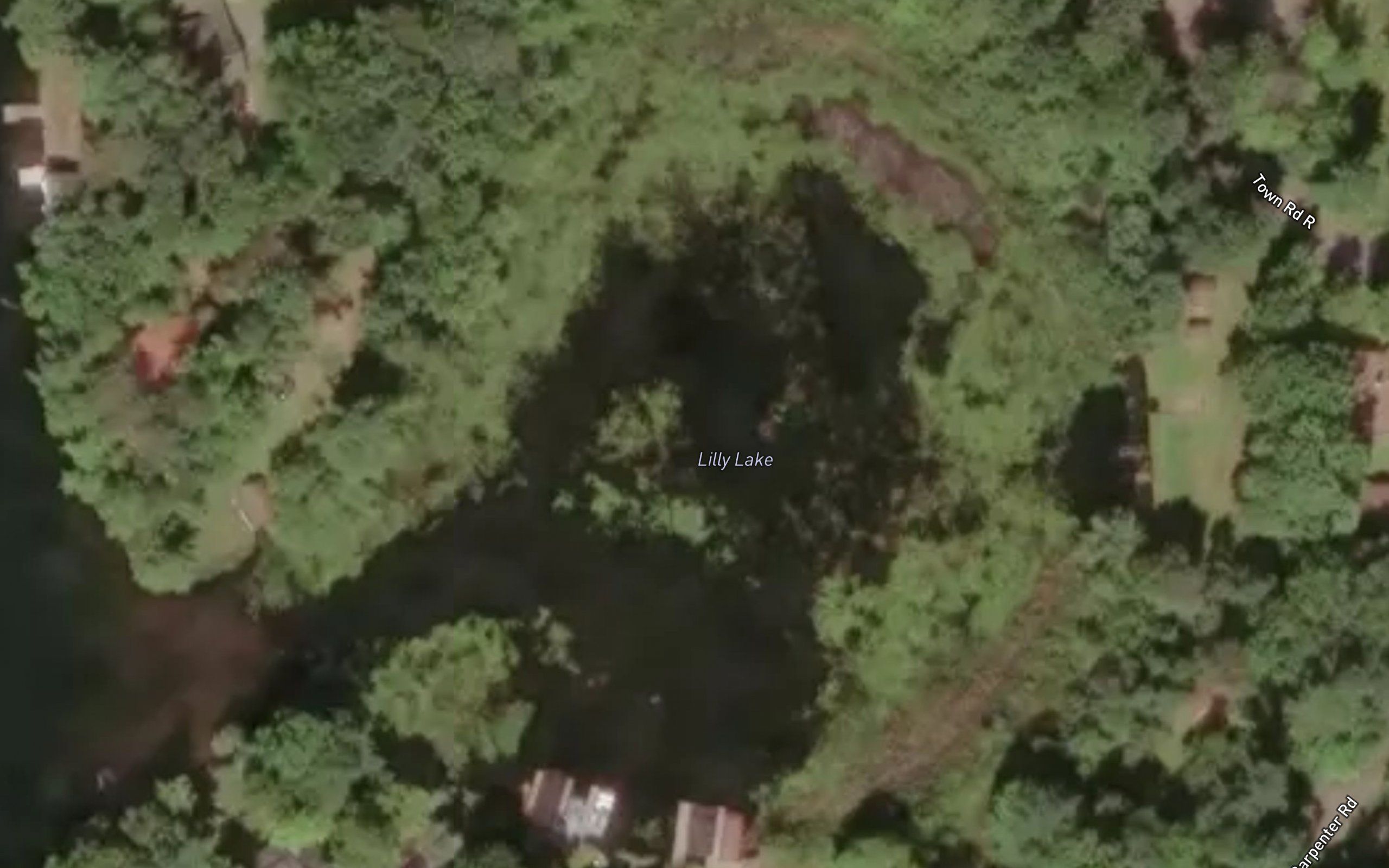 Lilly Lake