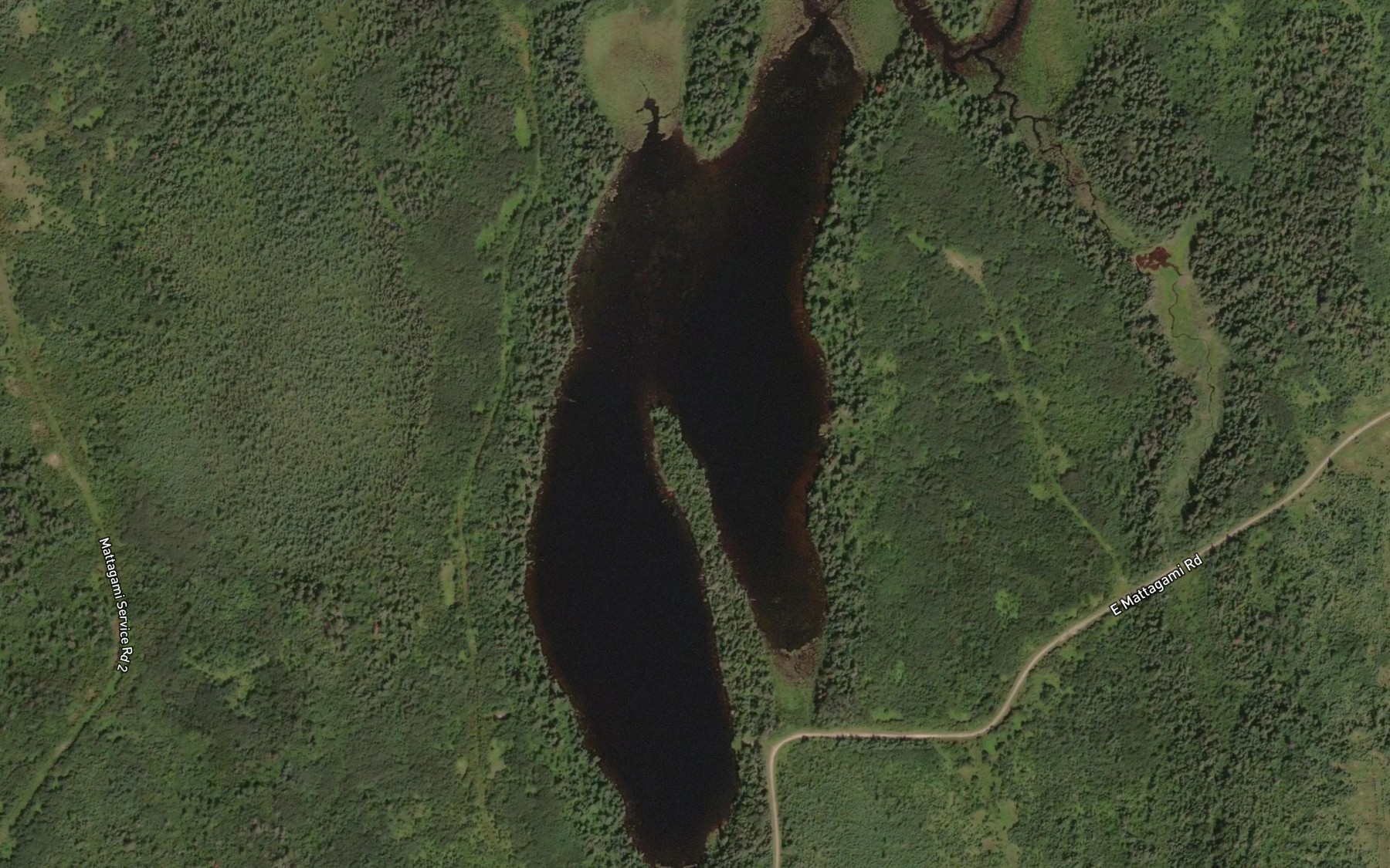 Satellite map of the Twofinger Lake