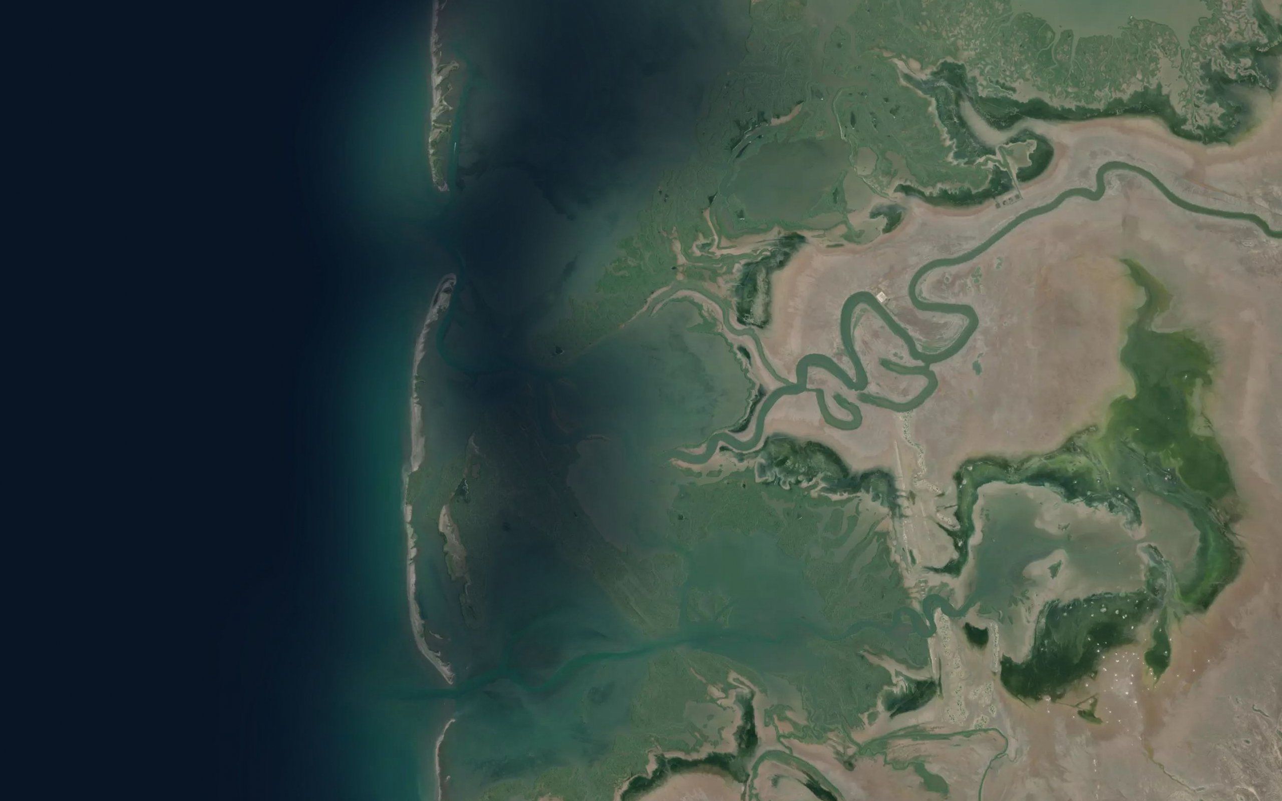 Estero Rio Muerto