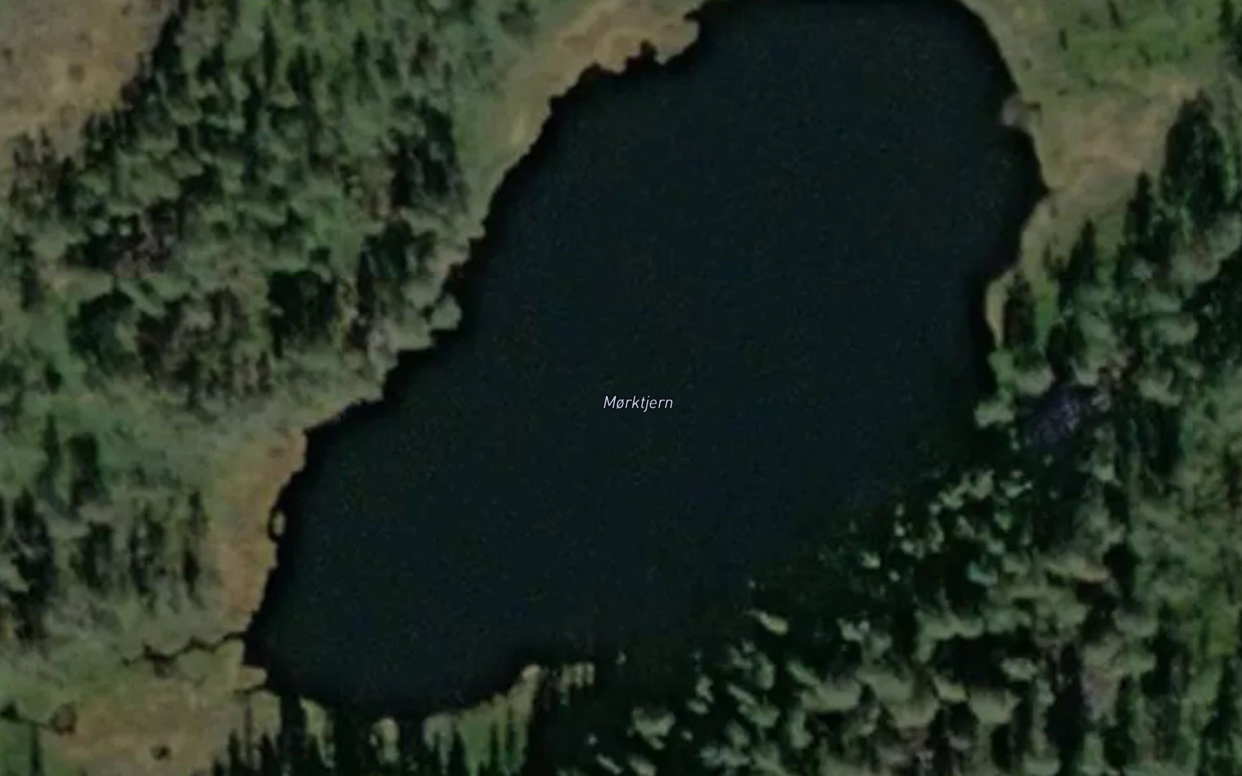 Morktjern