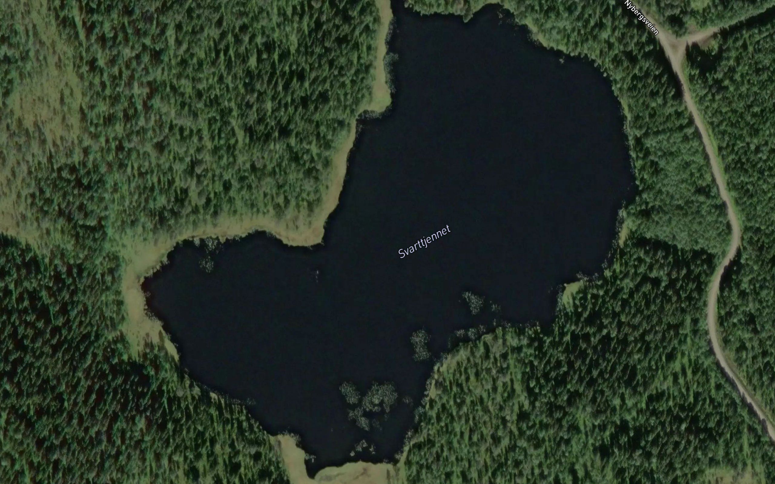 Svarttjernet