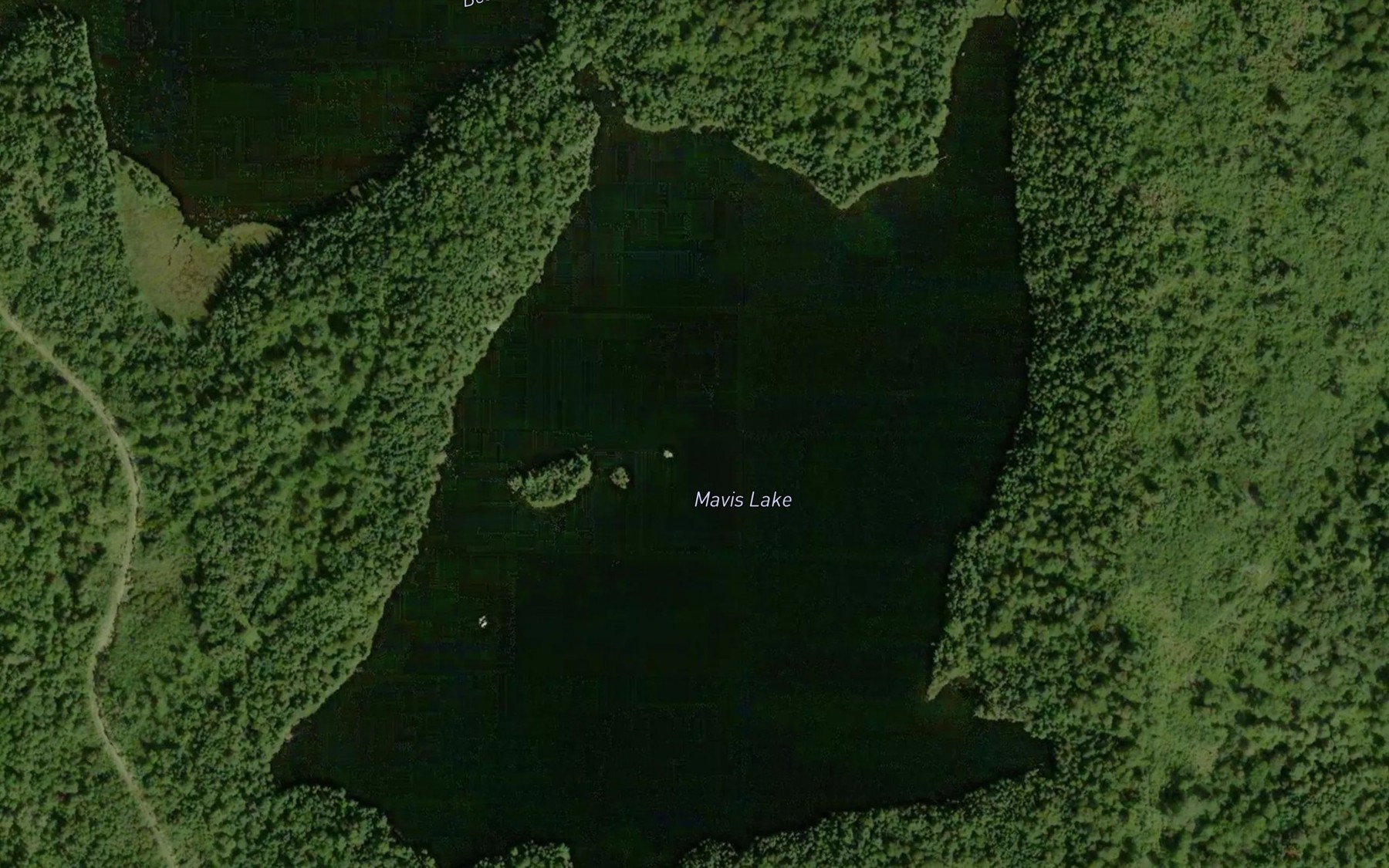 Satellite map of the Mavis Lake