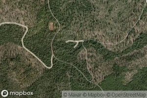 Road Spring