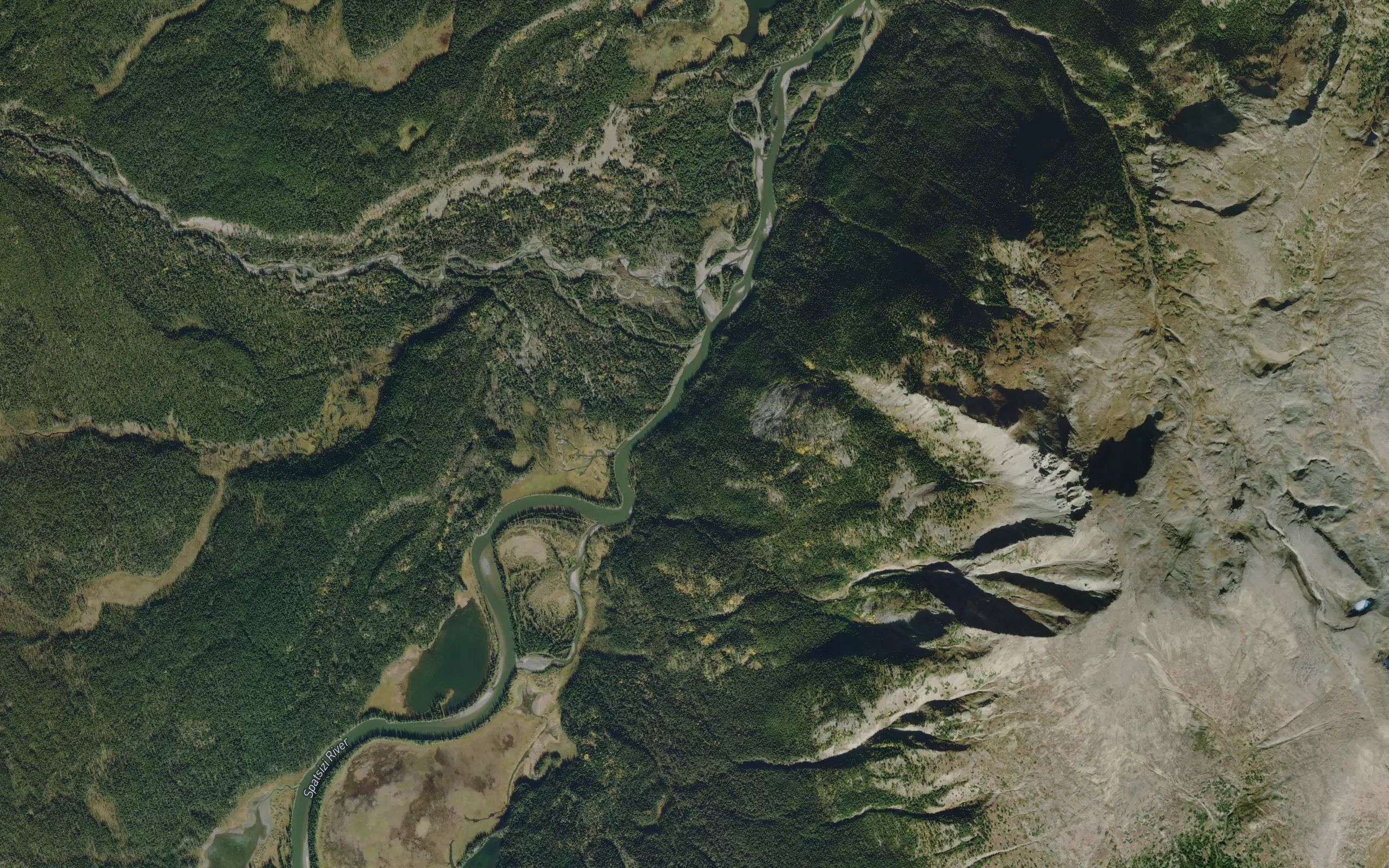 Mink Creek