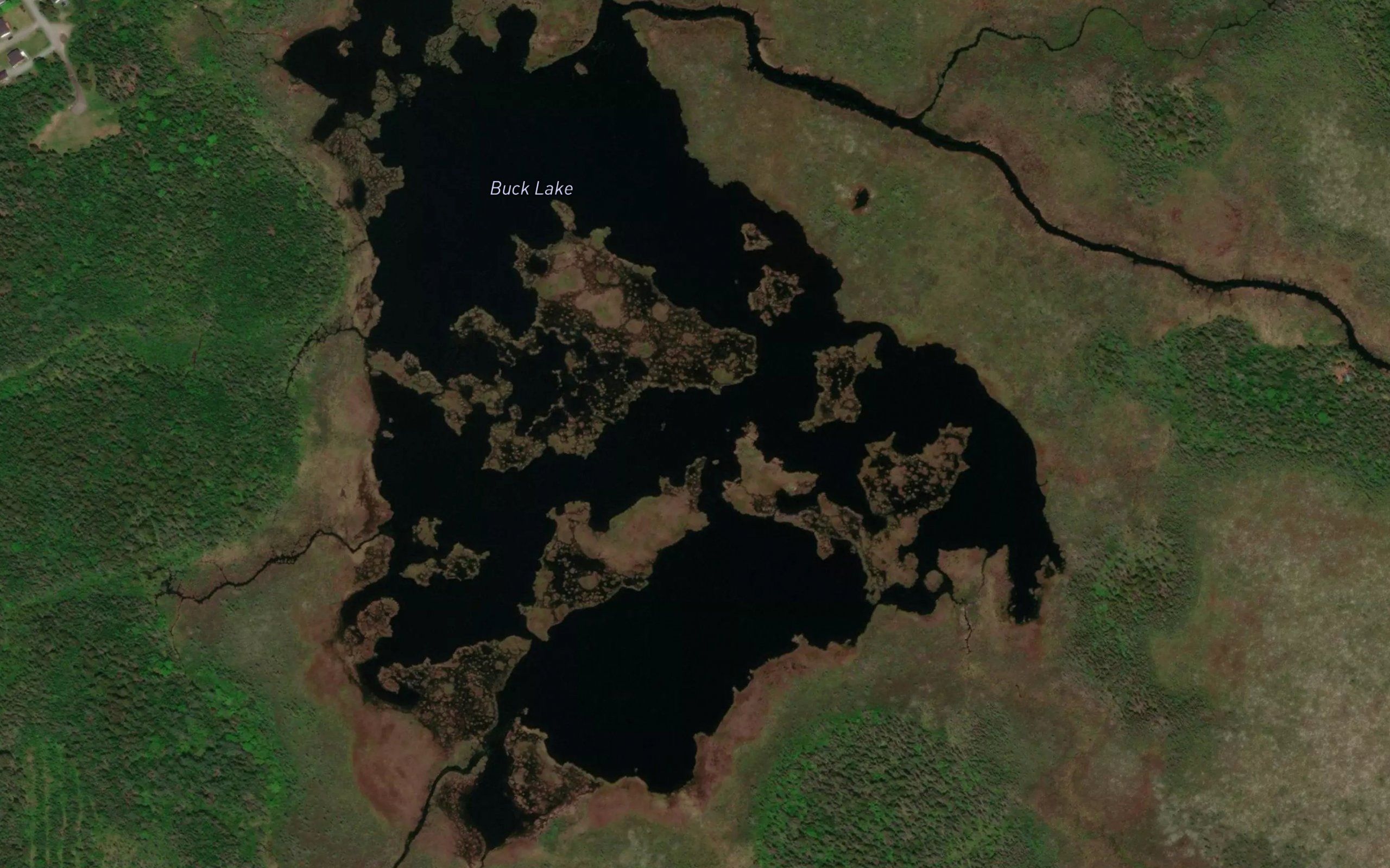 Buck Lake