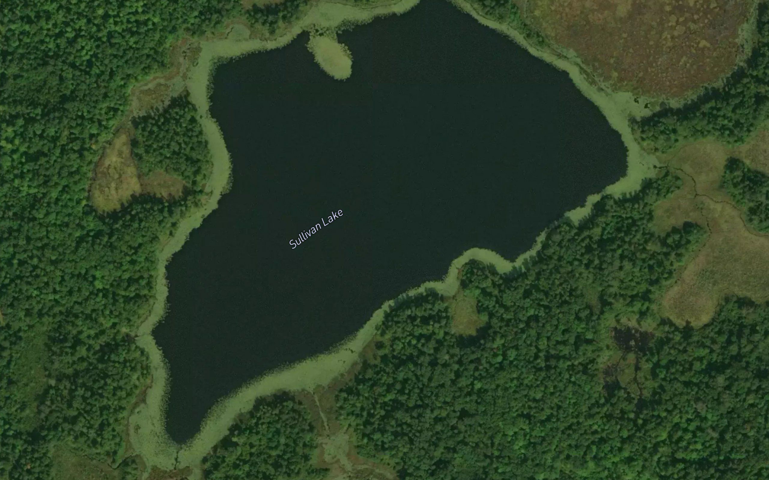 Sullivan Lake