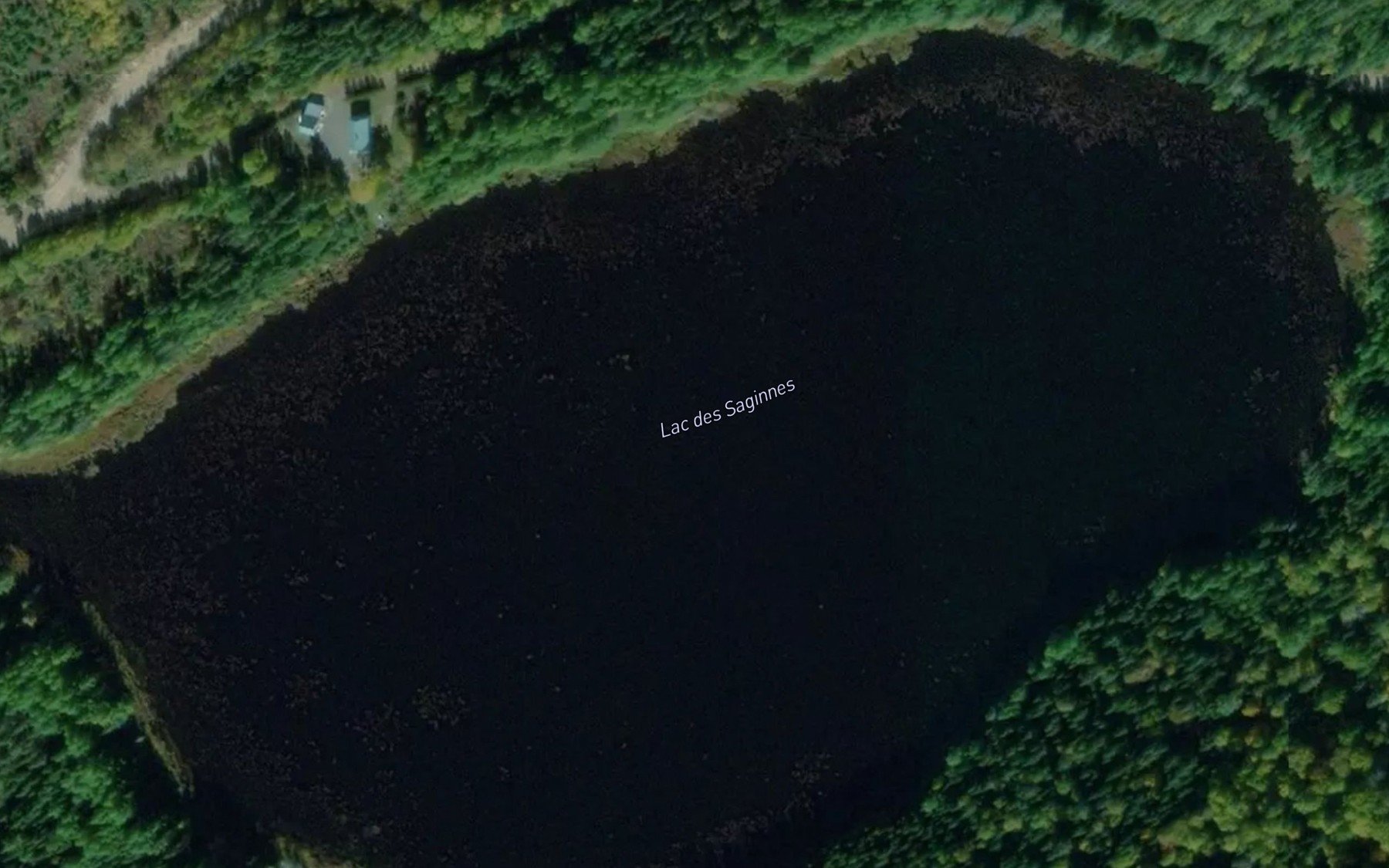 Satellite map of the Lac des Saginnes
