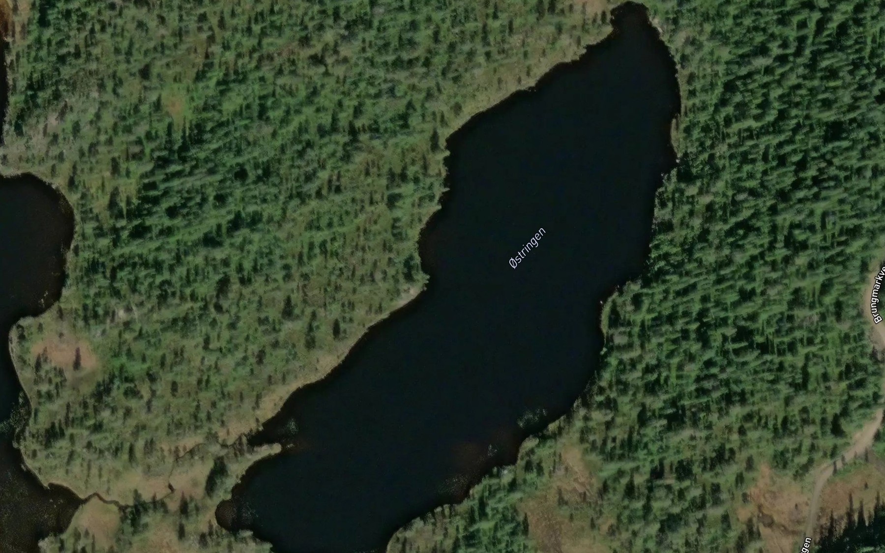 Satellite map of the Ostringen