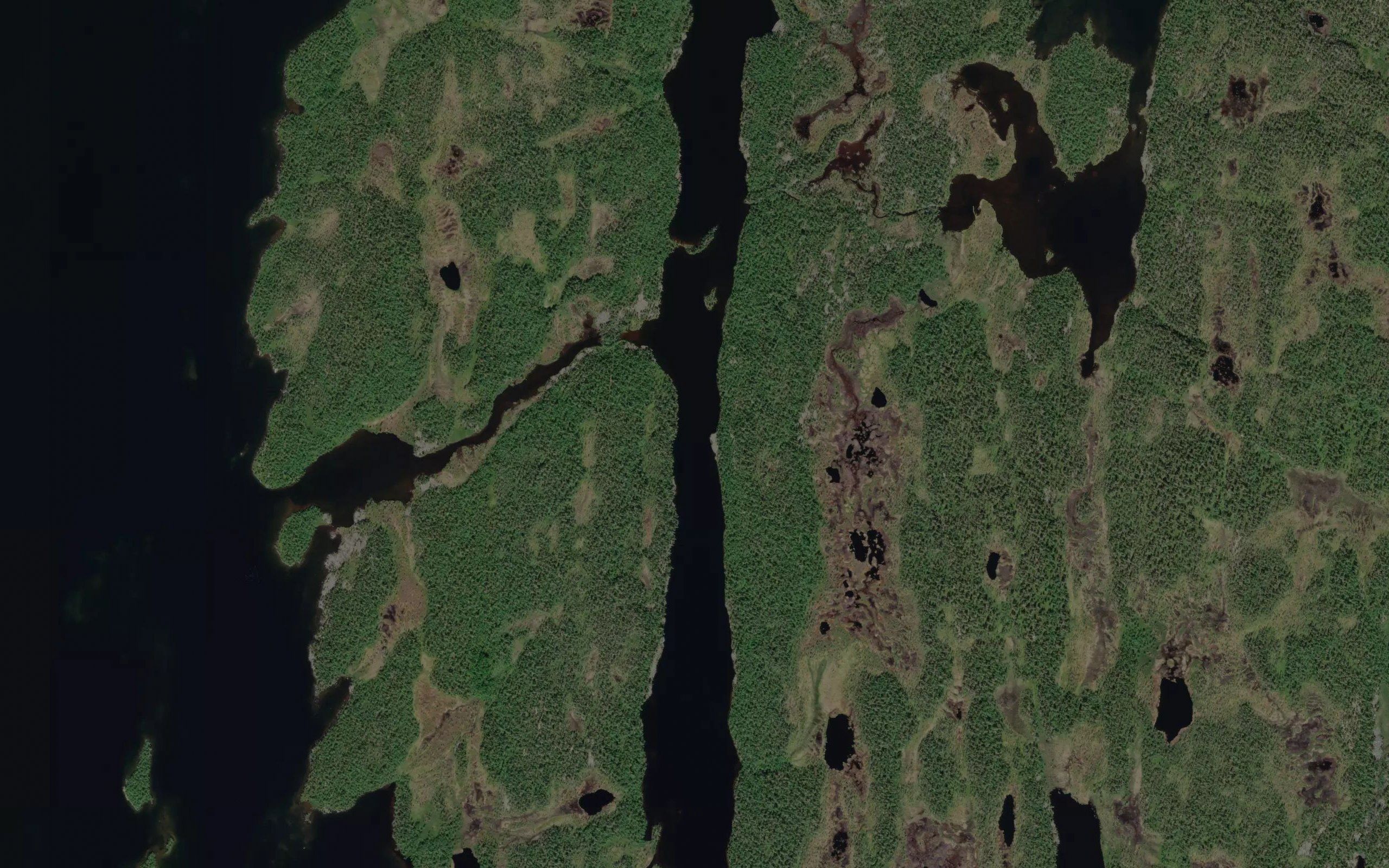 Kiurujau'rr