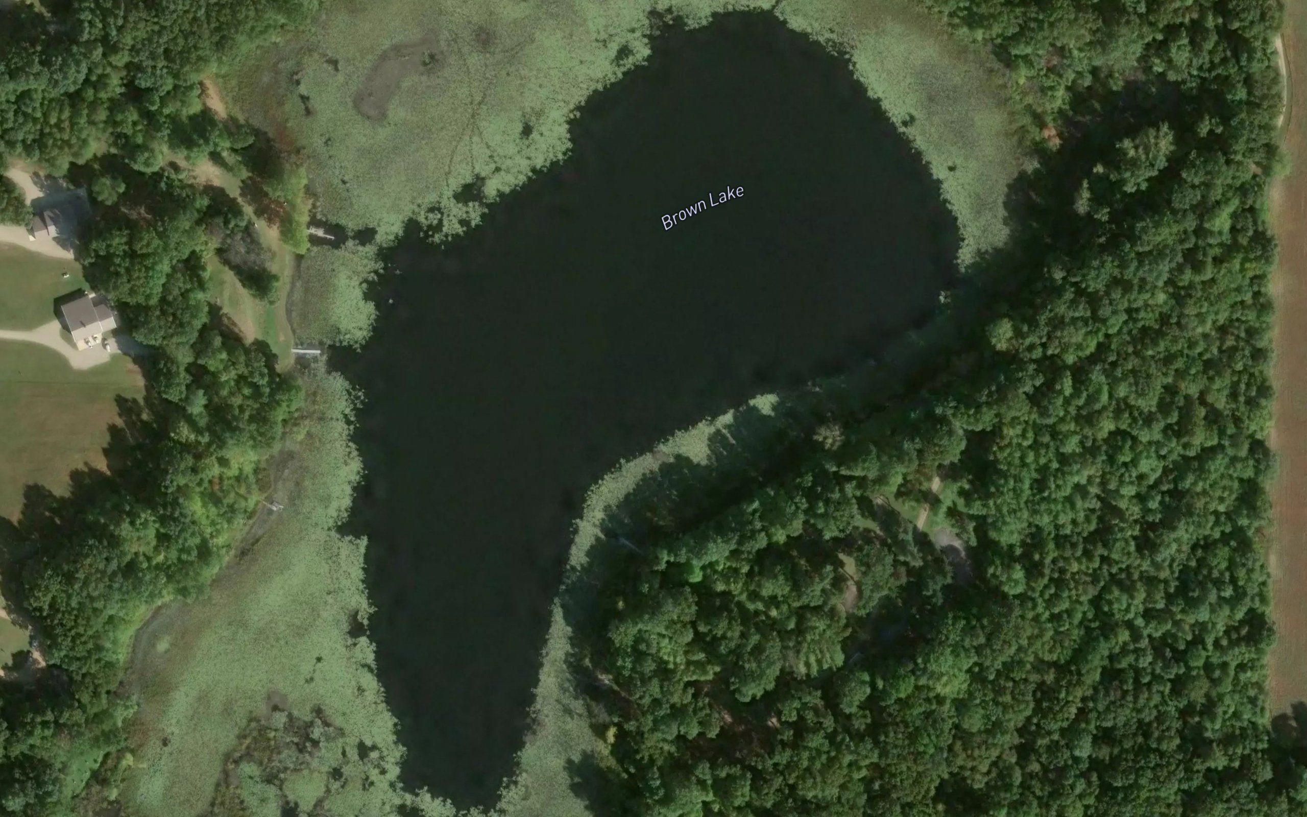 Brown Lake