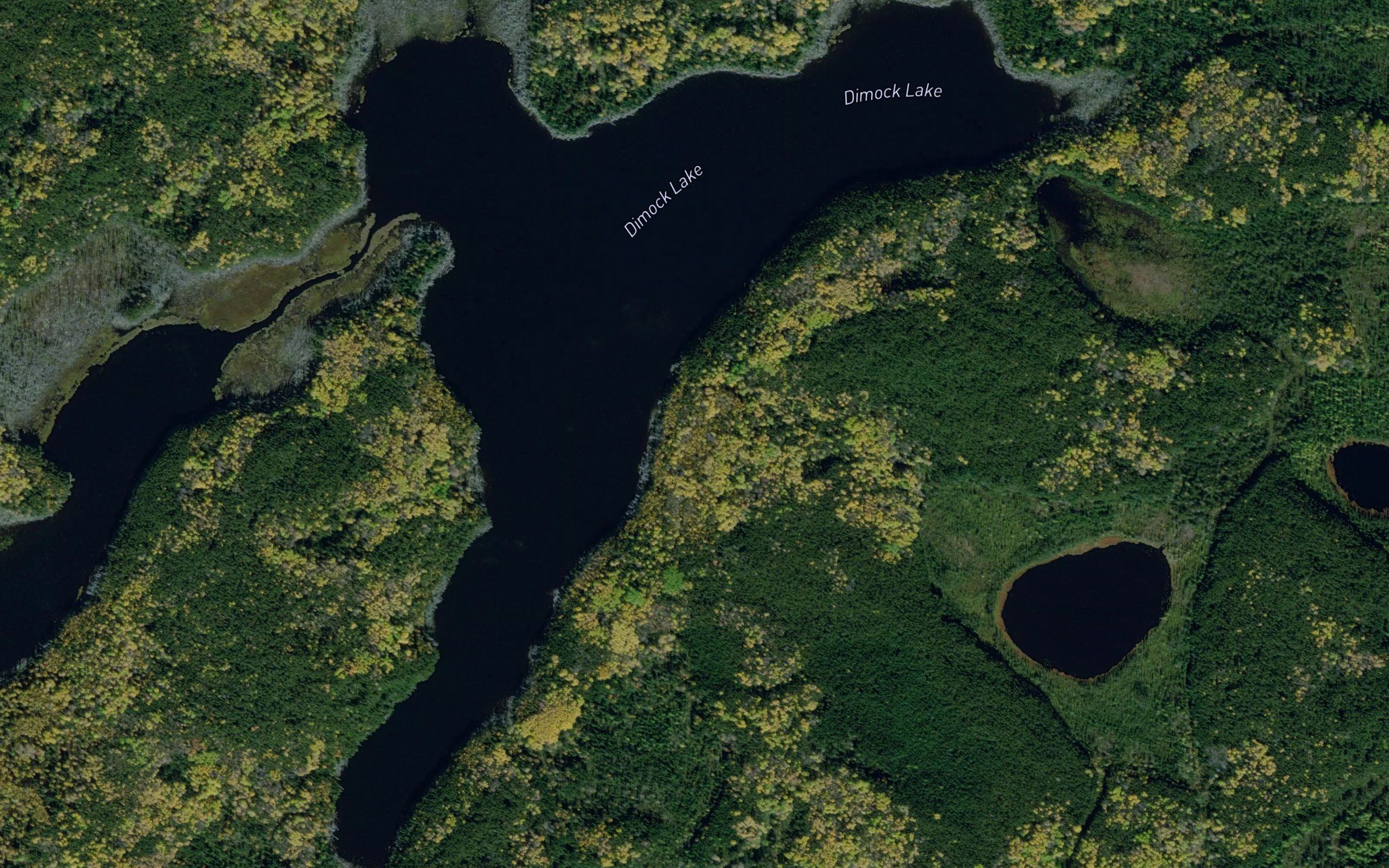 Dimock Lake