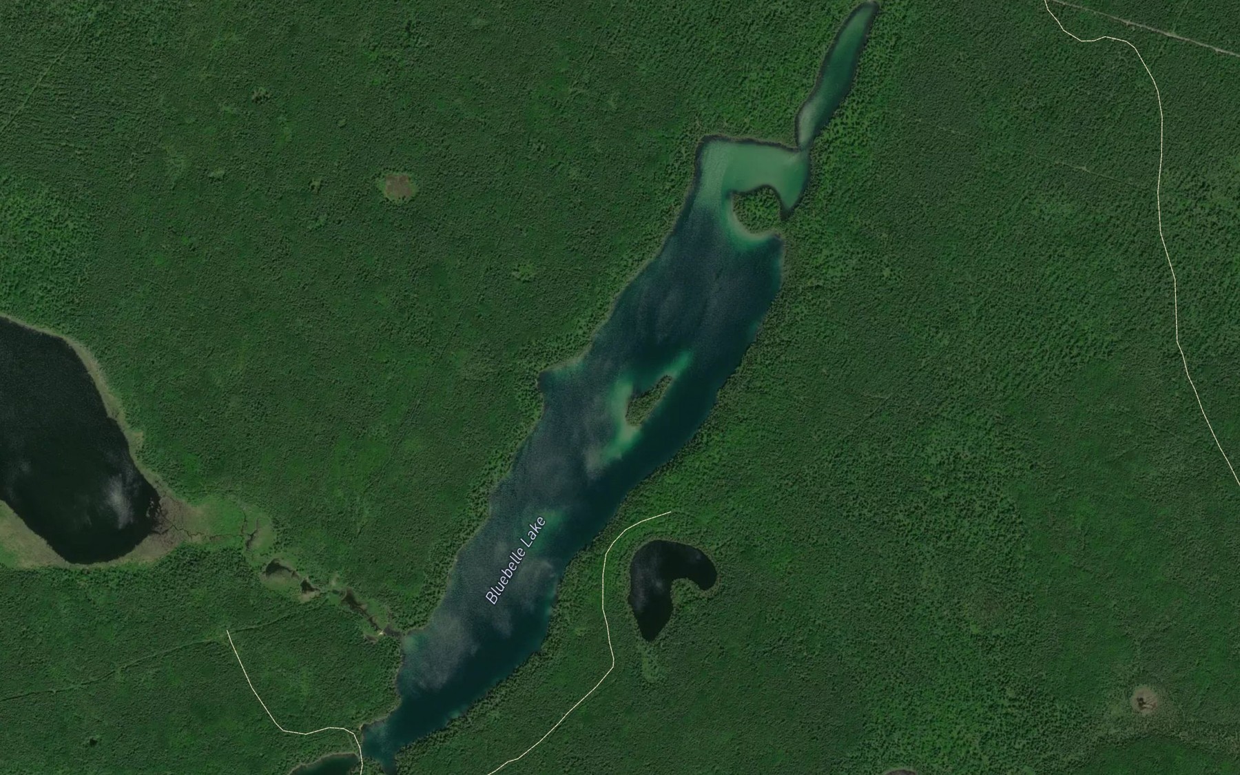 Satellite map of the Bluebelle Lake