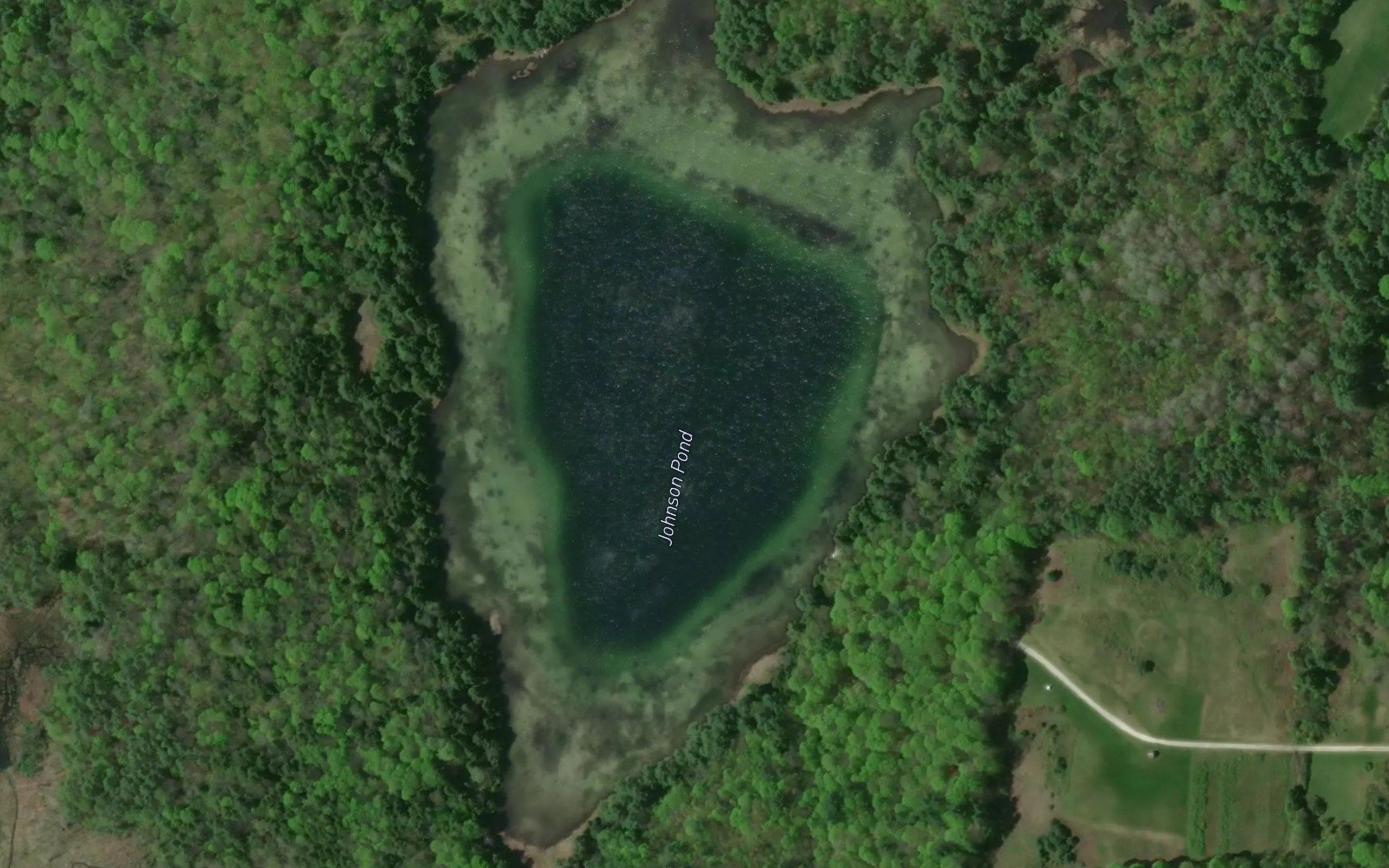 Johnson Pond