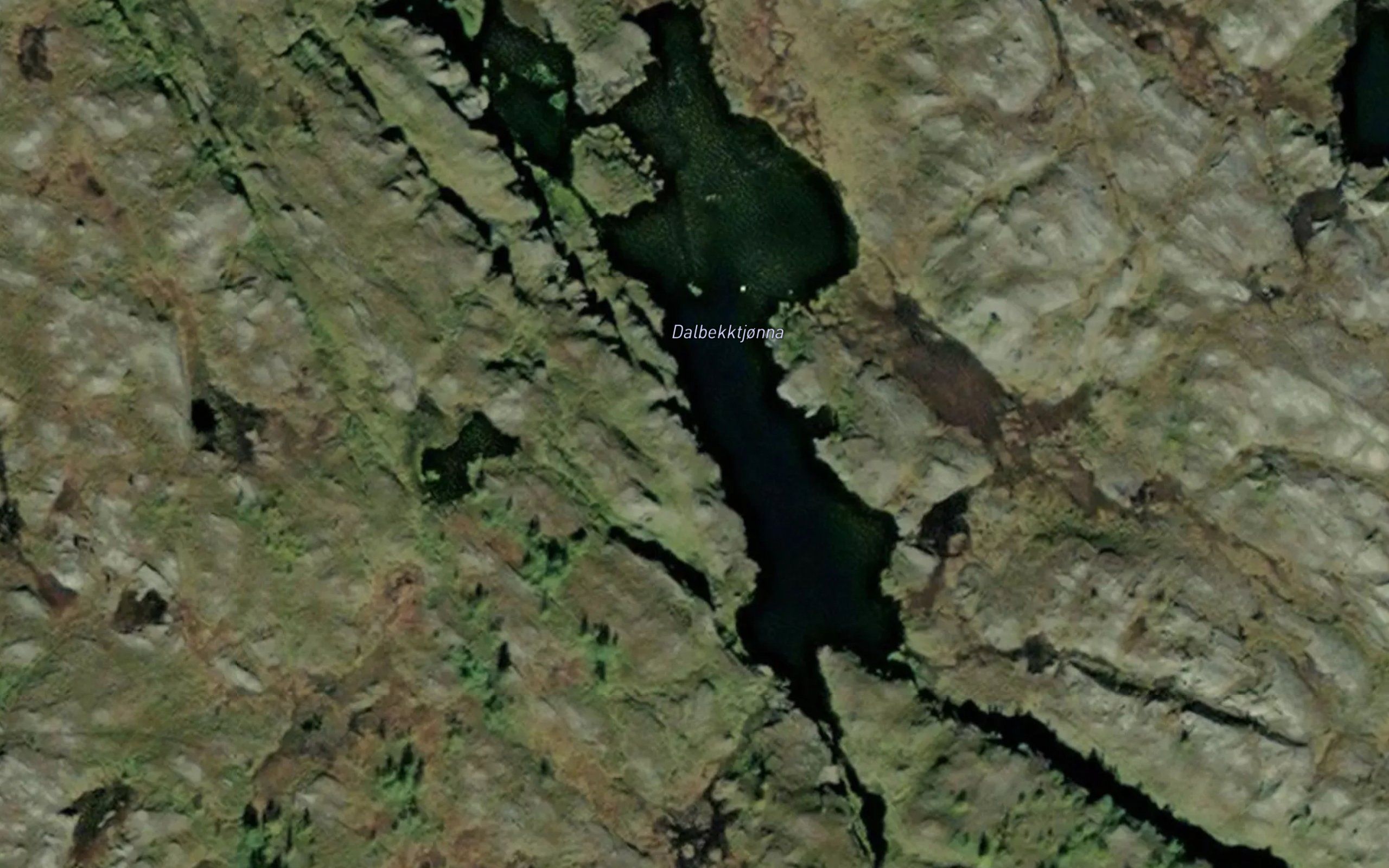 Dalbekktjorna