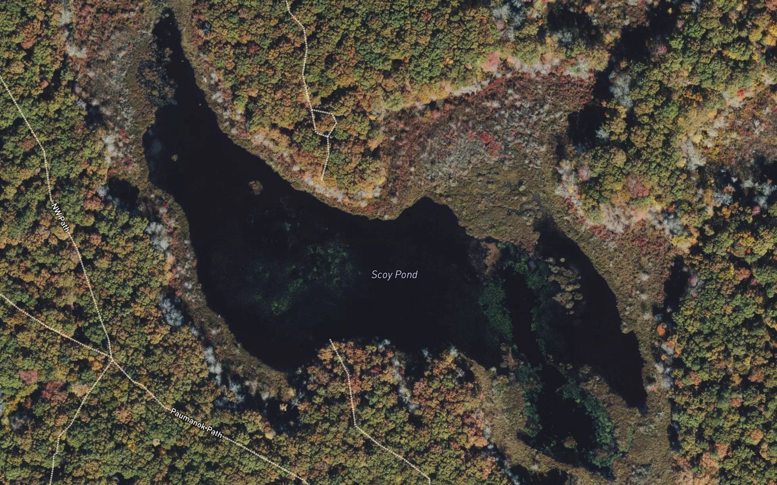 Scoy Pond